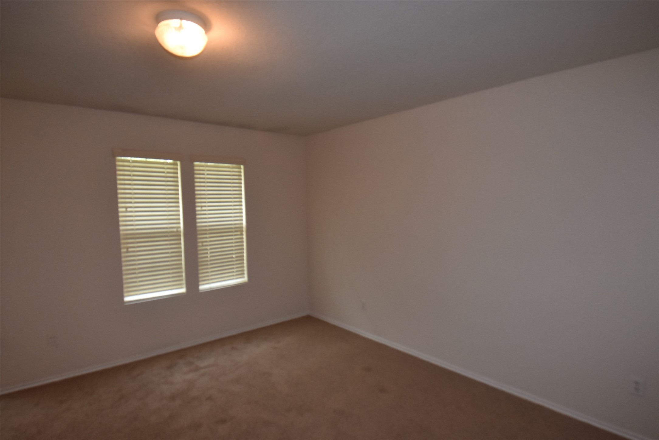 16807 Mammoth Springs Dr Property Photo 19