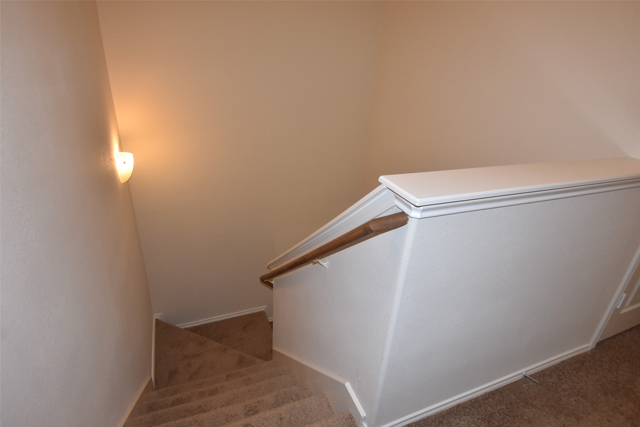 16807 Mammoth Springs Dr Property Photo 23