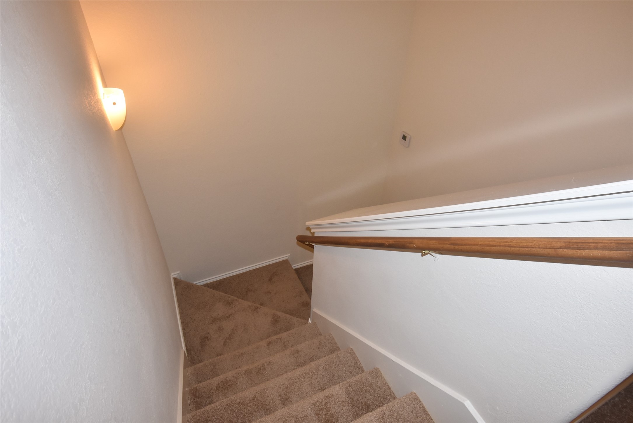 16807 Mammoth Springs Dr Property Photo 24