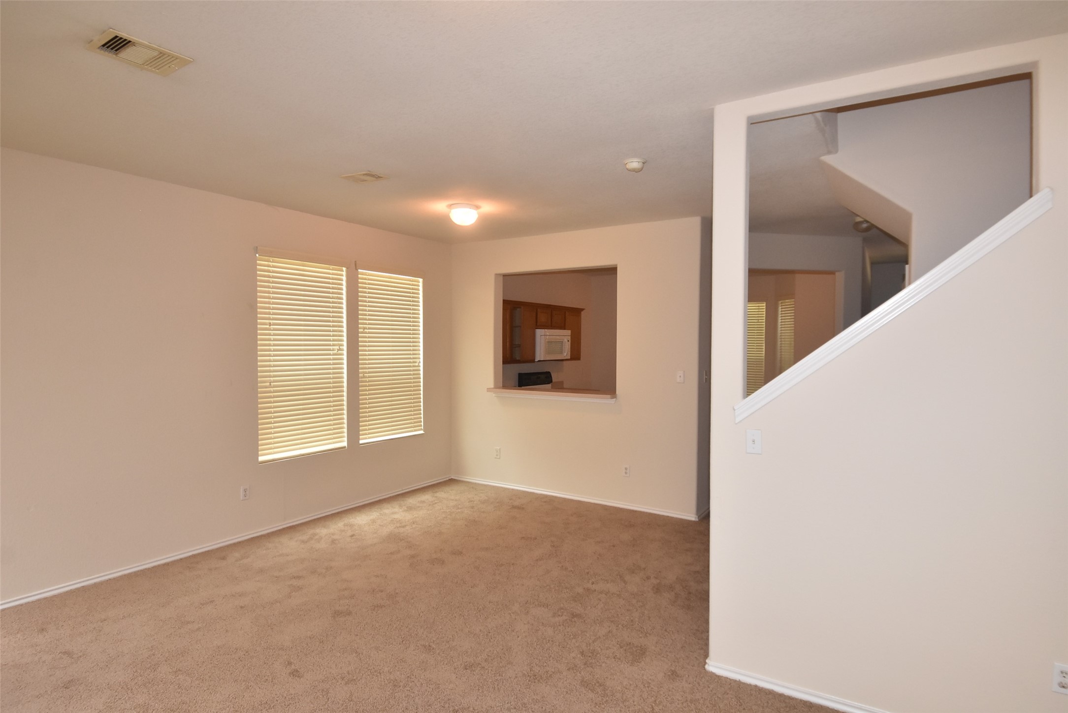 16807 Mammoth Springs Dr Property Photo 28