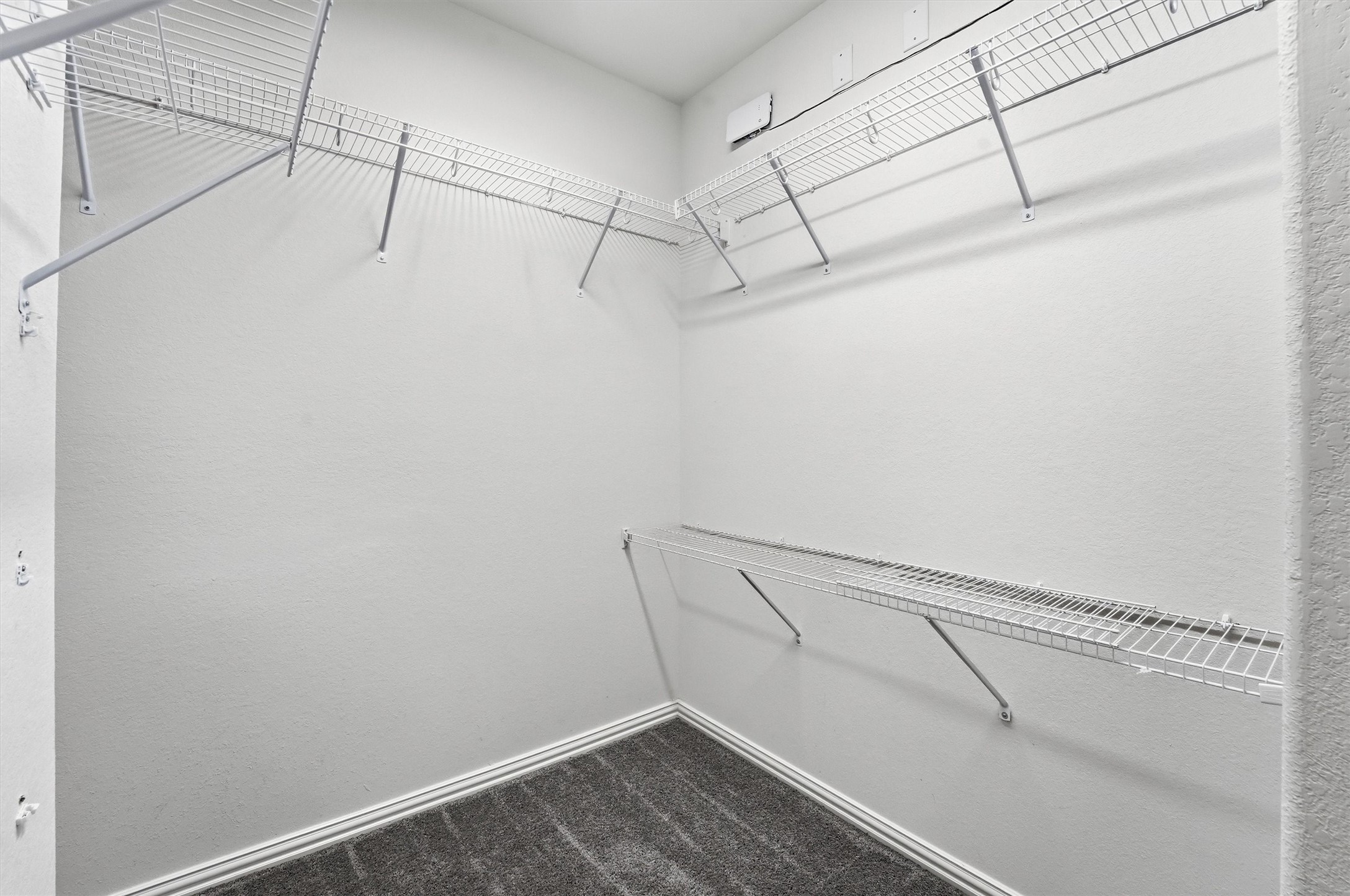 40342 Bay Warbler Way Property Photo 17