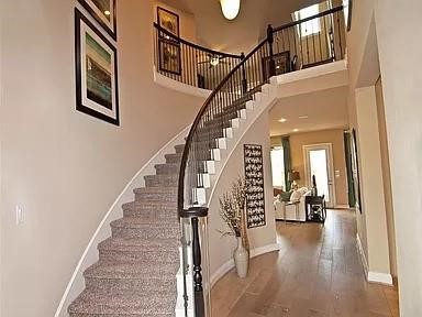 18303 Harmony Bluff Lane Property Photo 4
