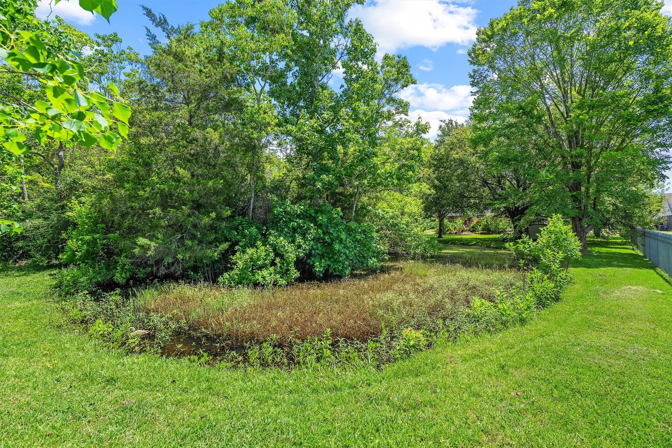 21719 Mueschke Road Property Photo 46