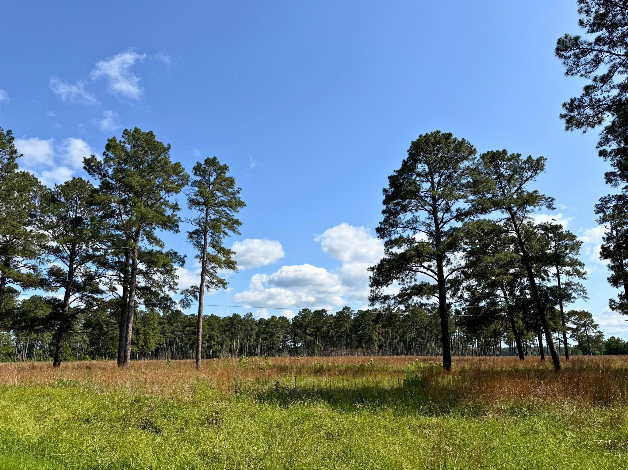 000 Fm 1791 Property Photo 3