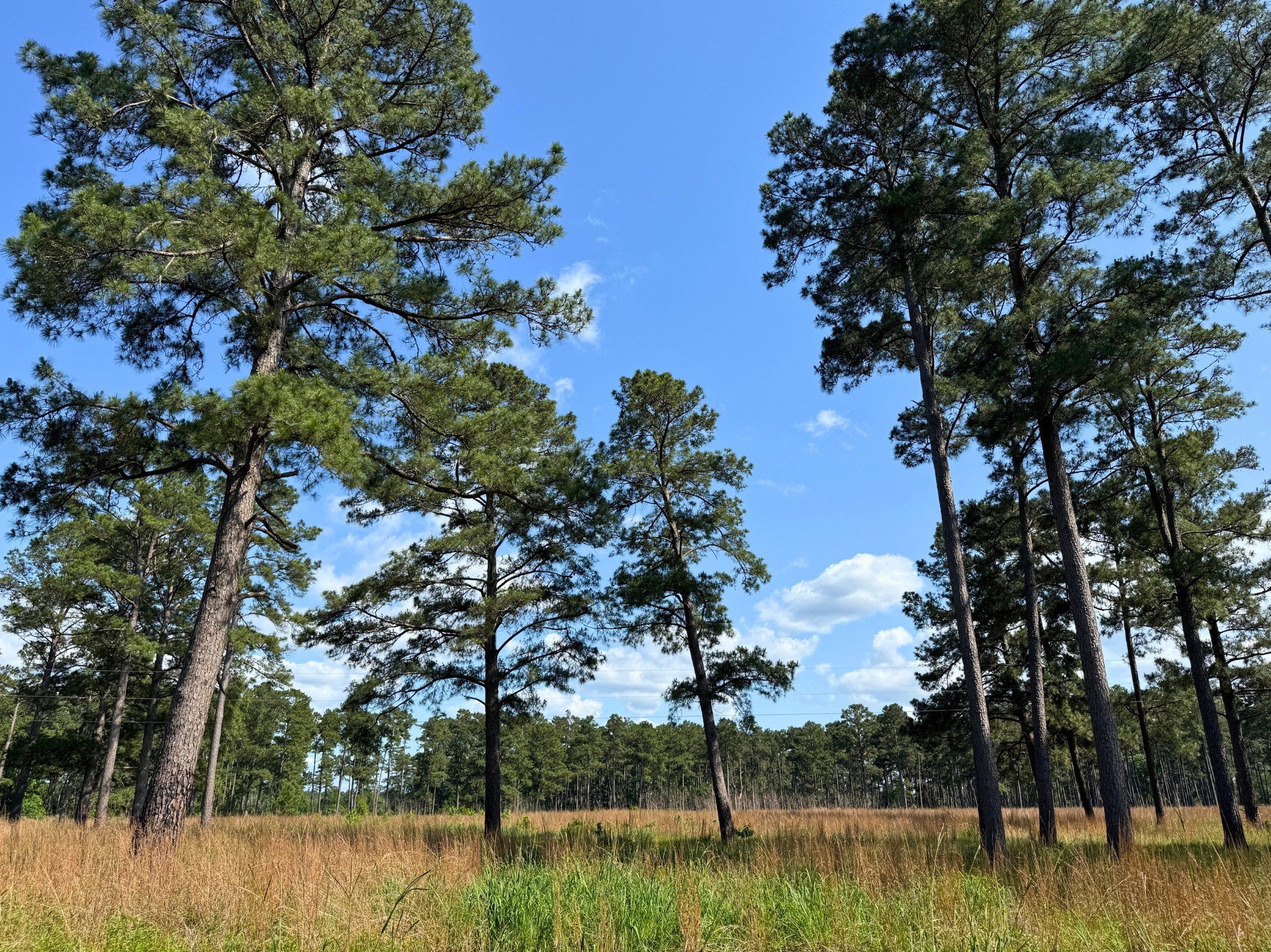 000 Fm 1791 Property Photo 4