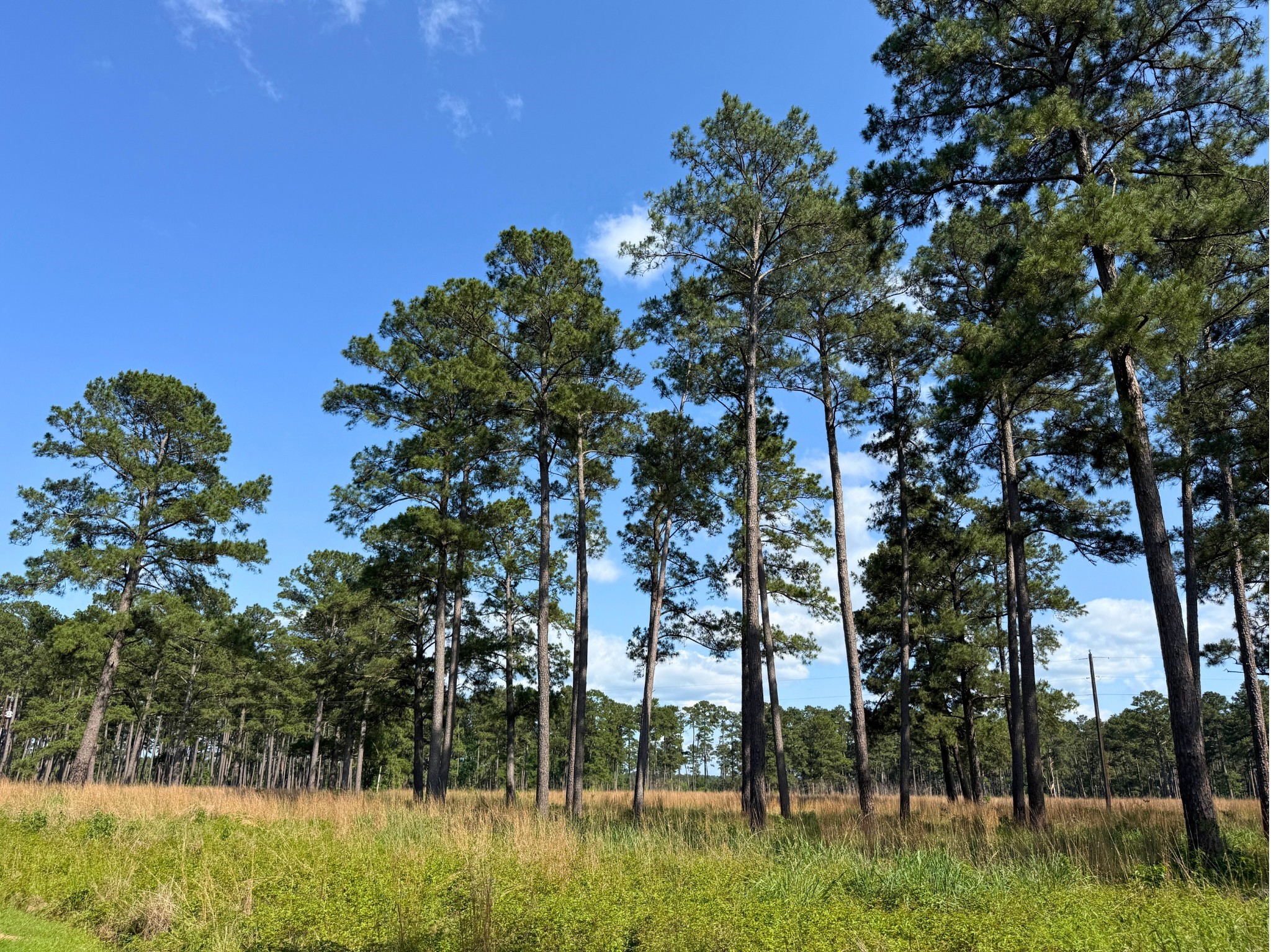 000 Fm 1791 Property Photo 5