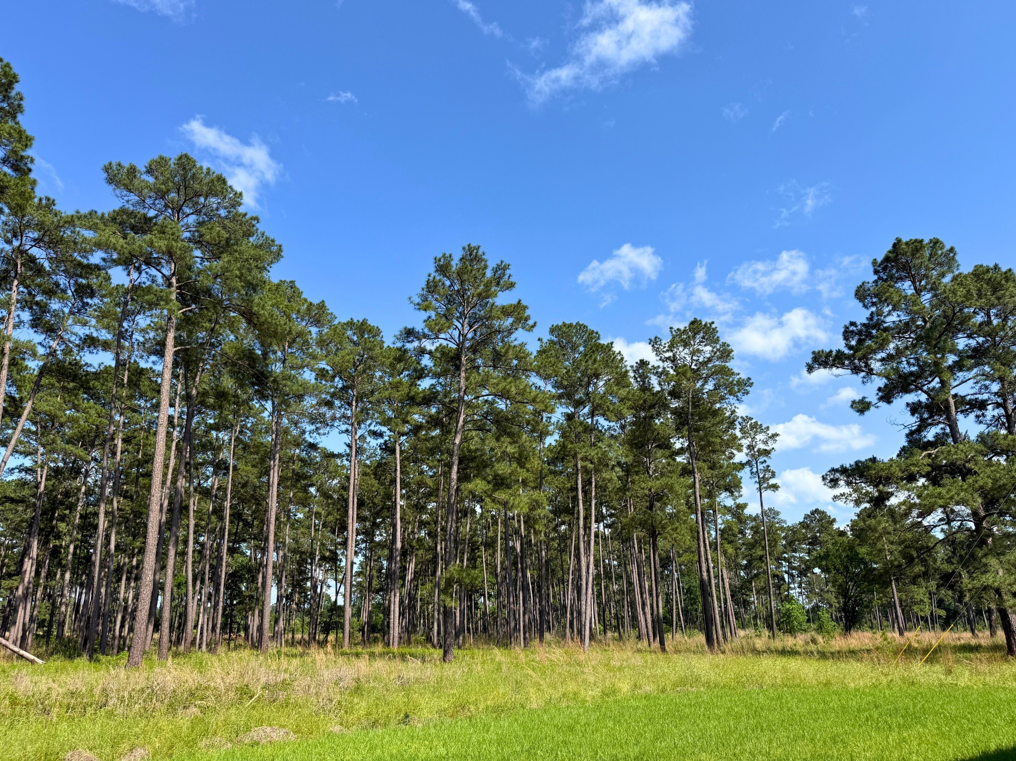 000 Fm 1791 Property Photo 7