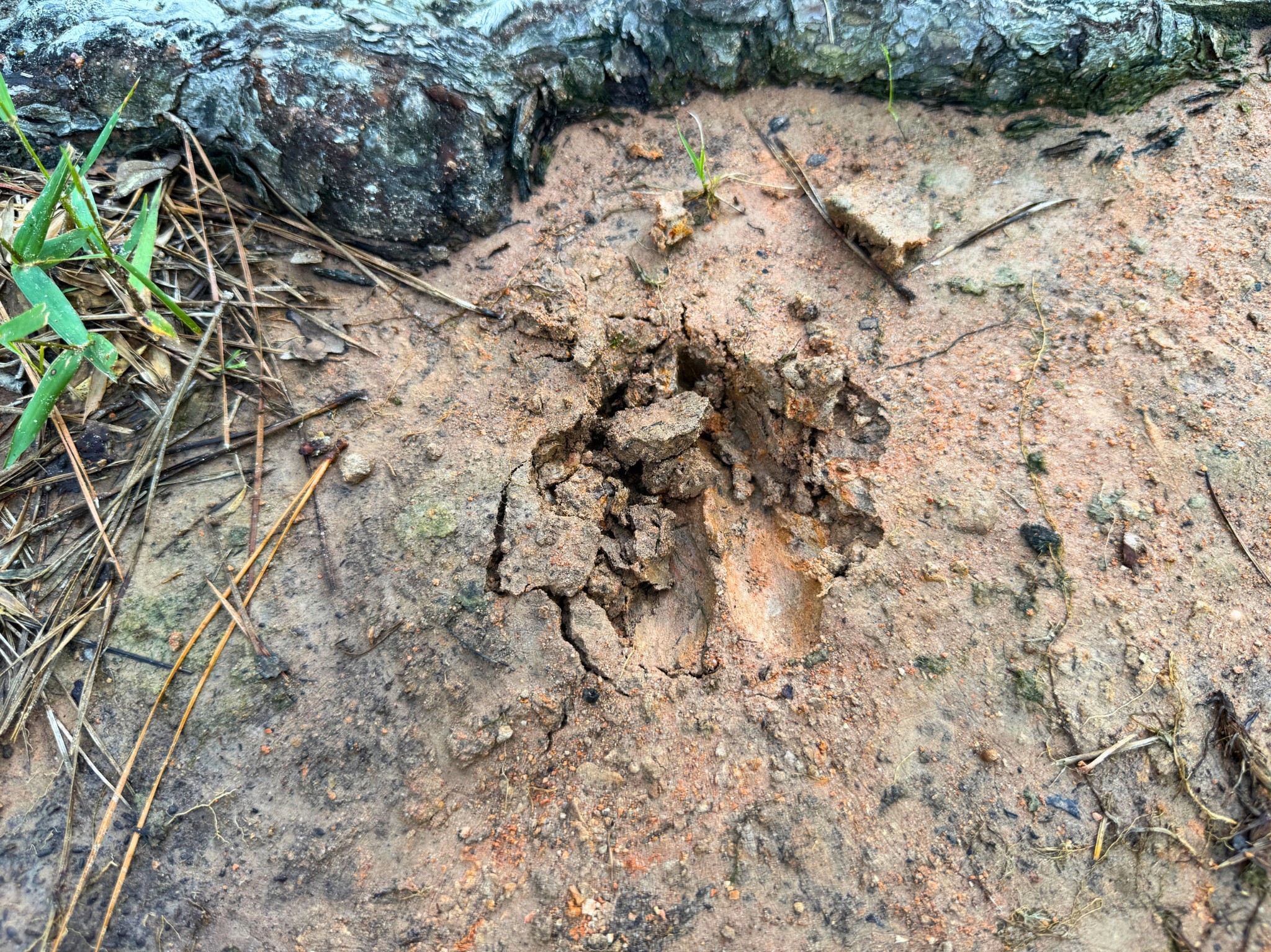 000 Fm 1791 Property Photo 8