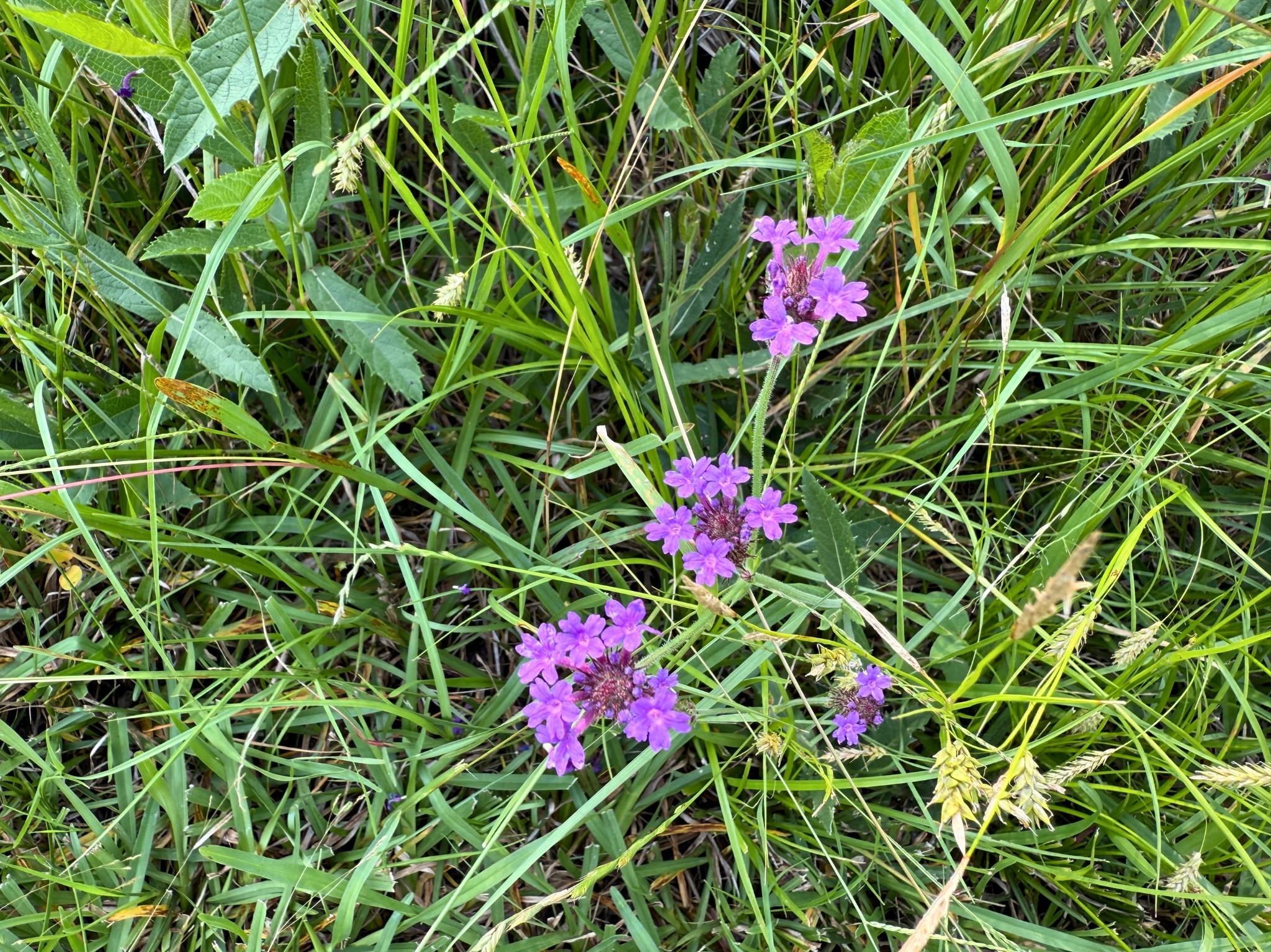 000 Fm 1791 Property Photo 9