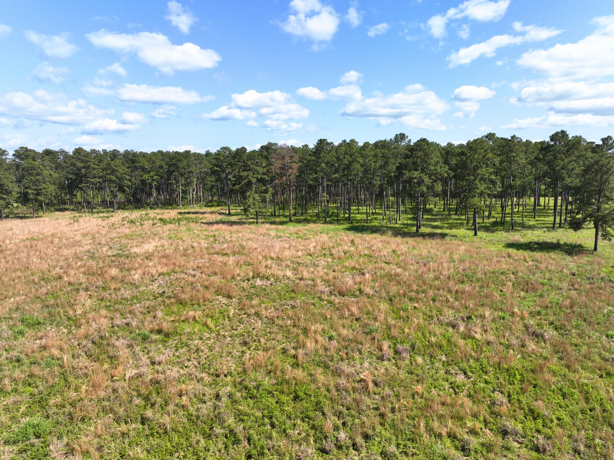 000 Fm 1791 Property Photo 11