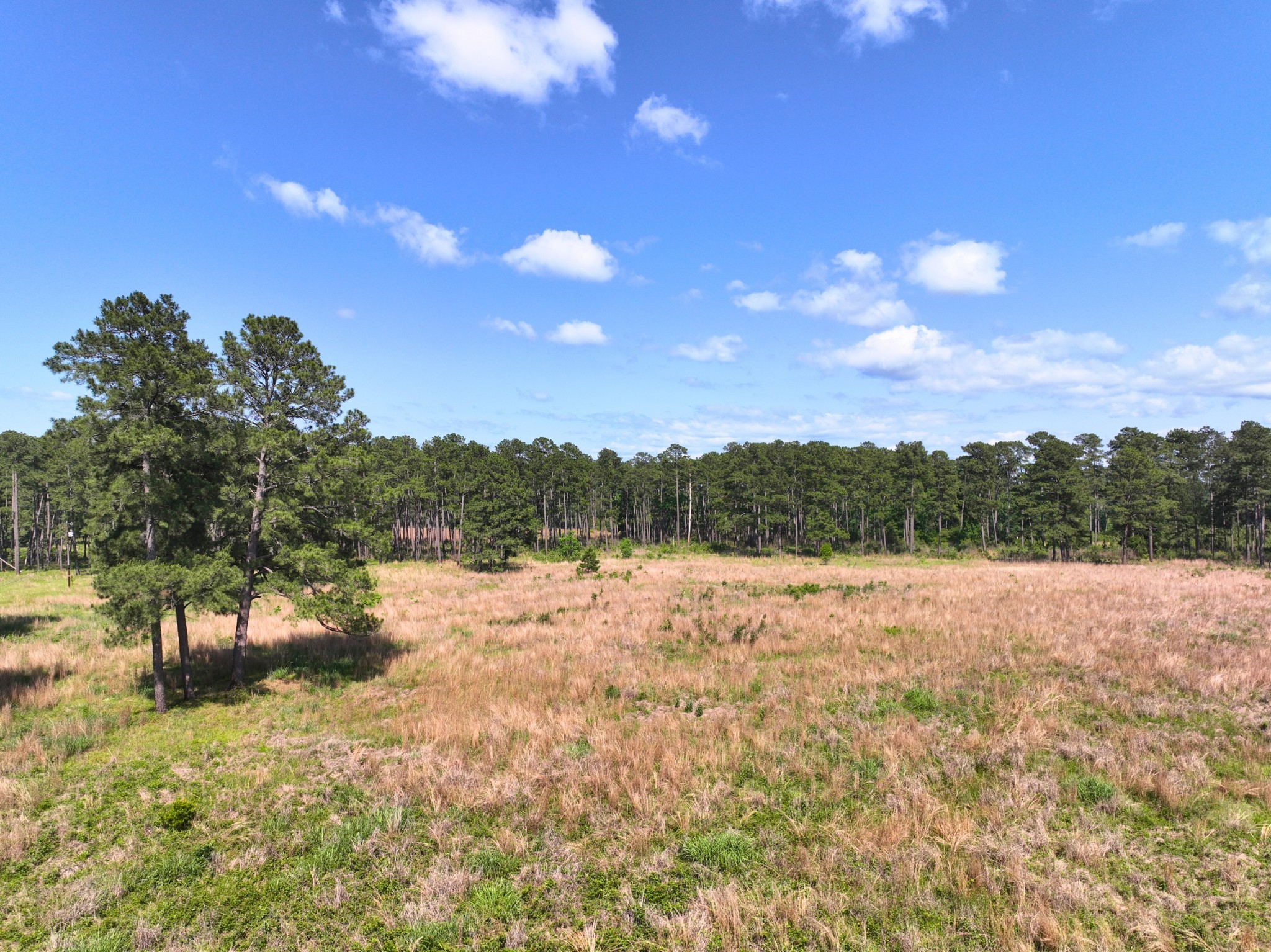 000 Fm 1791 Property Photo 12