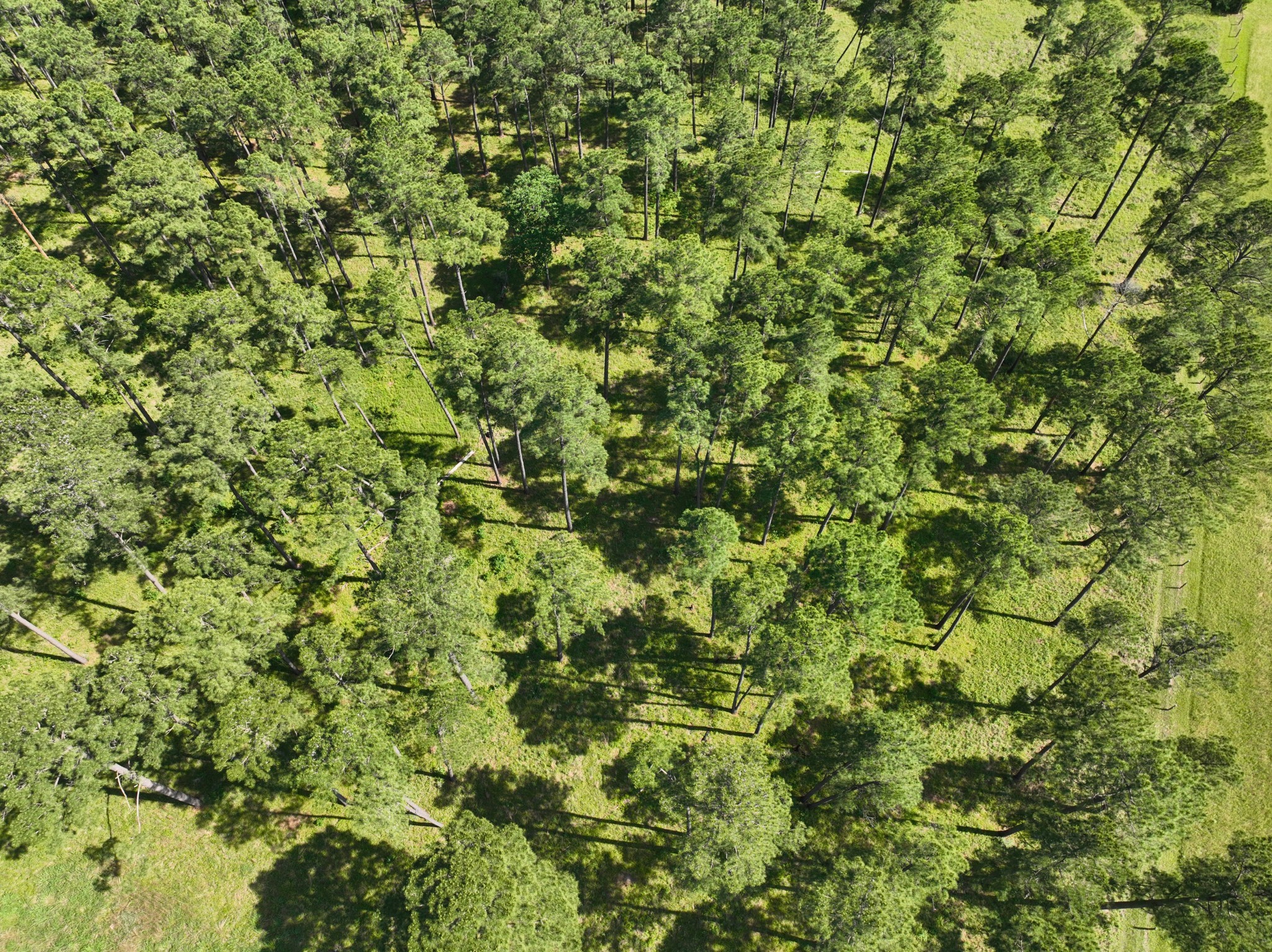 000 Fm 1791 Property Photo 14