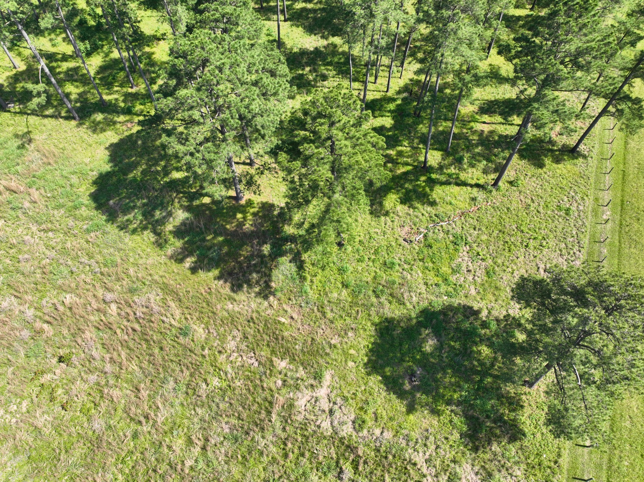 000 Fm 1791 Property Photo 16