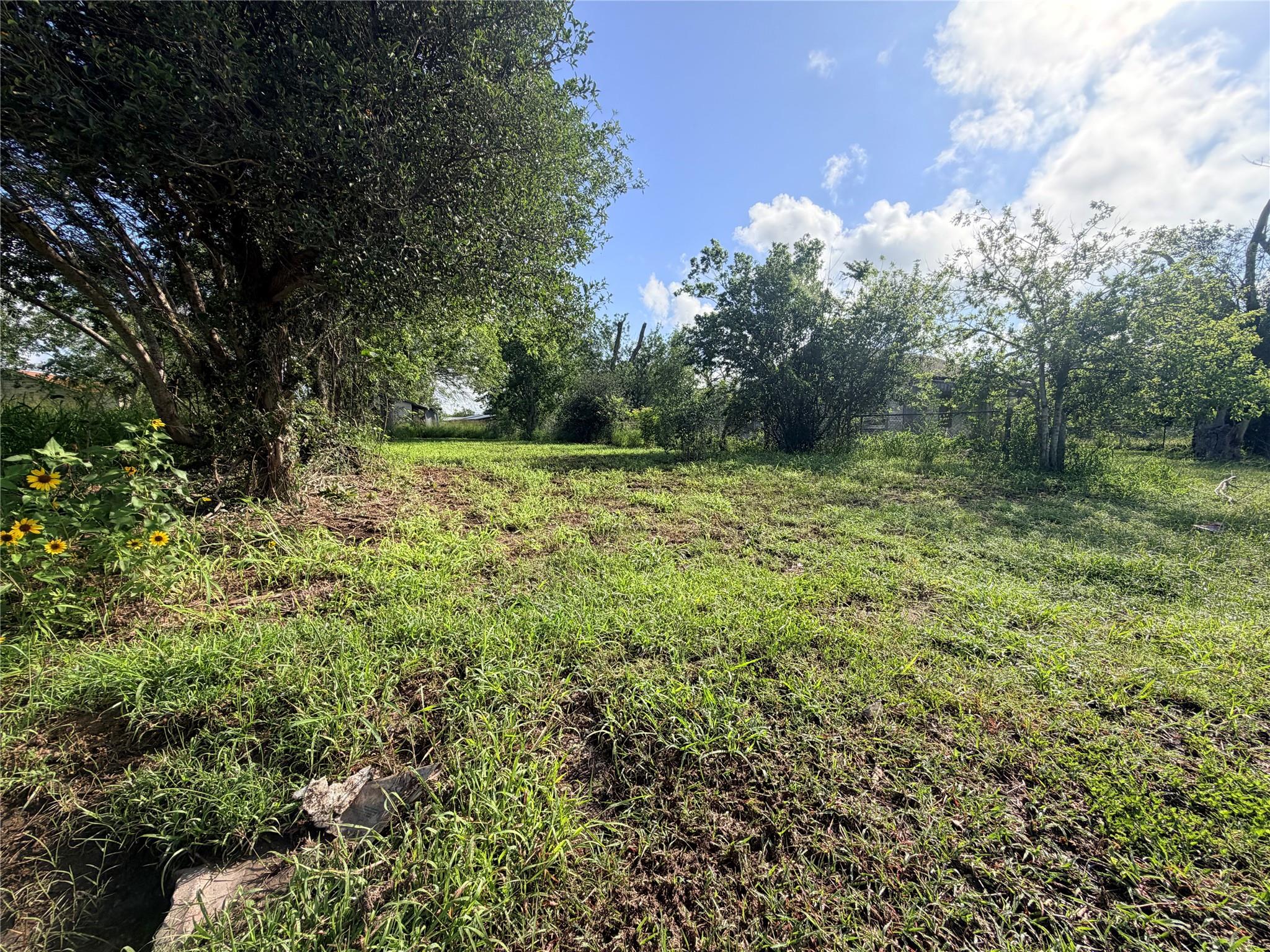 507 E Ward Street, Refugio Tx 78377 Property Photo 7