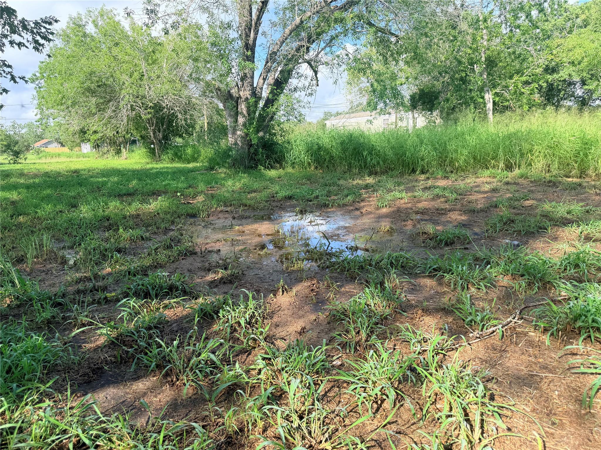 507 E Ward Street, Refugio Tx 78377 Property Photo 9