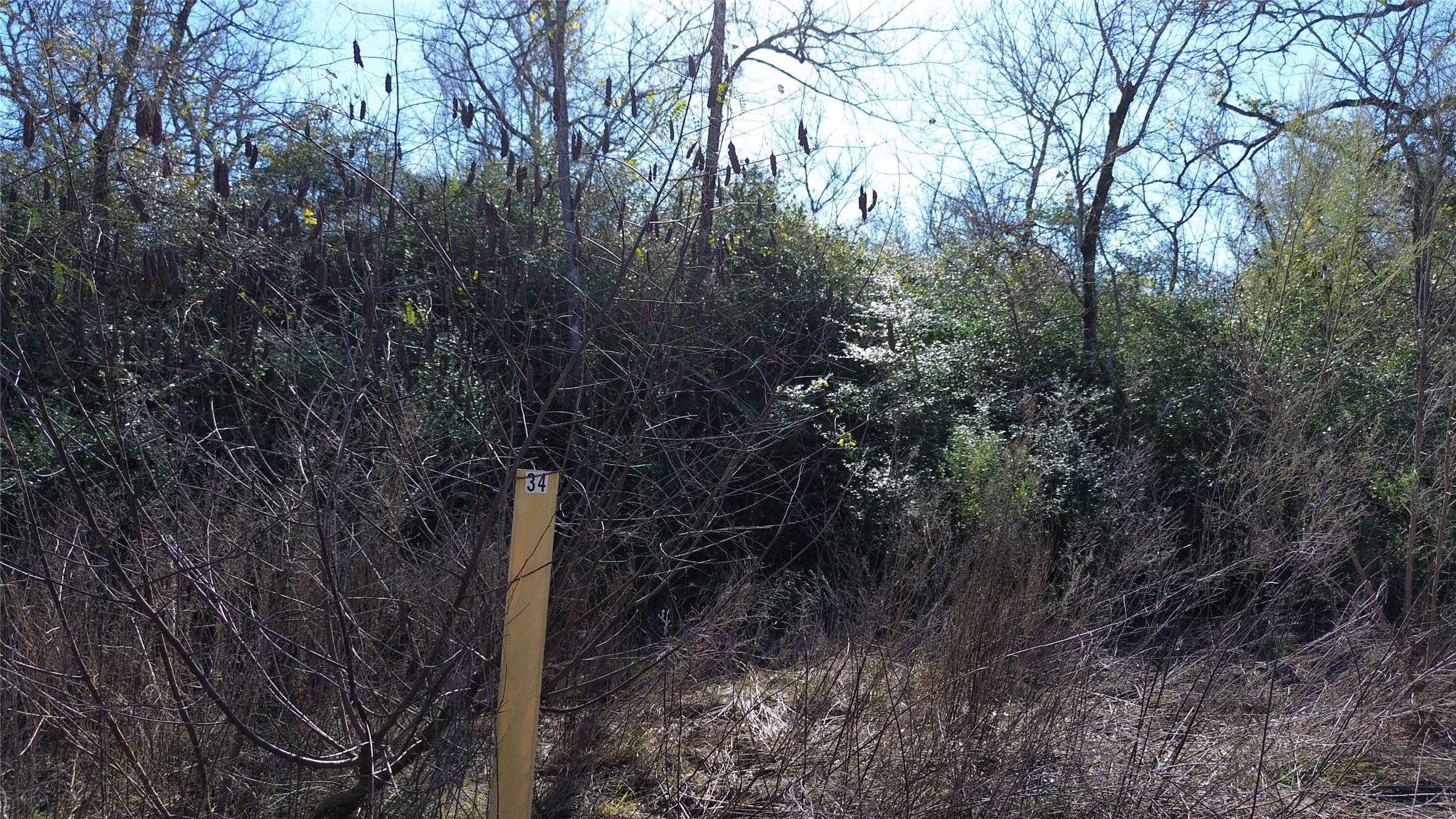 Lot 34 Cr 3675 Property Photo 2