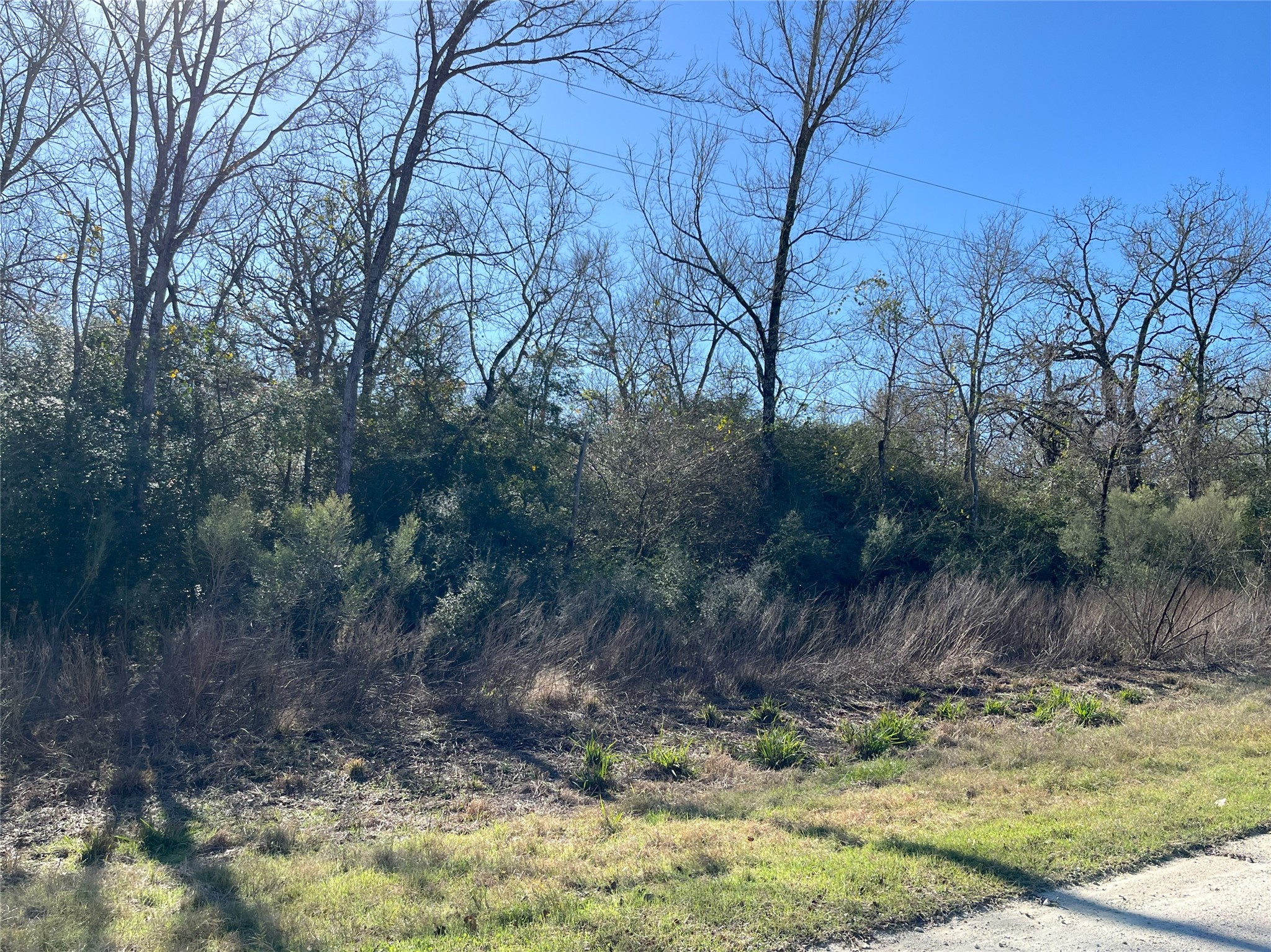 Lot 34 Cr 3675 Property Photo 6