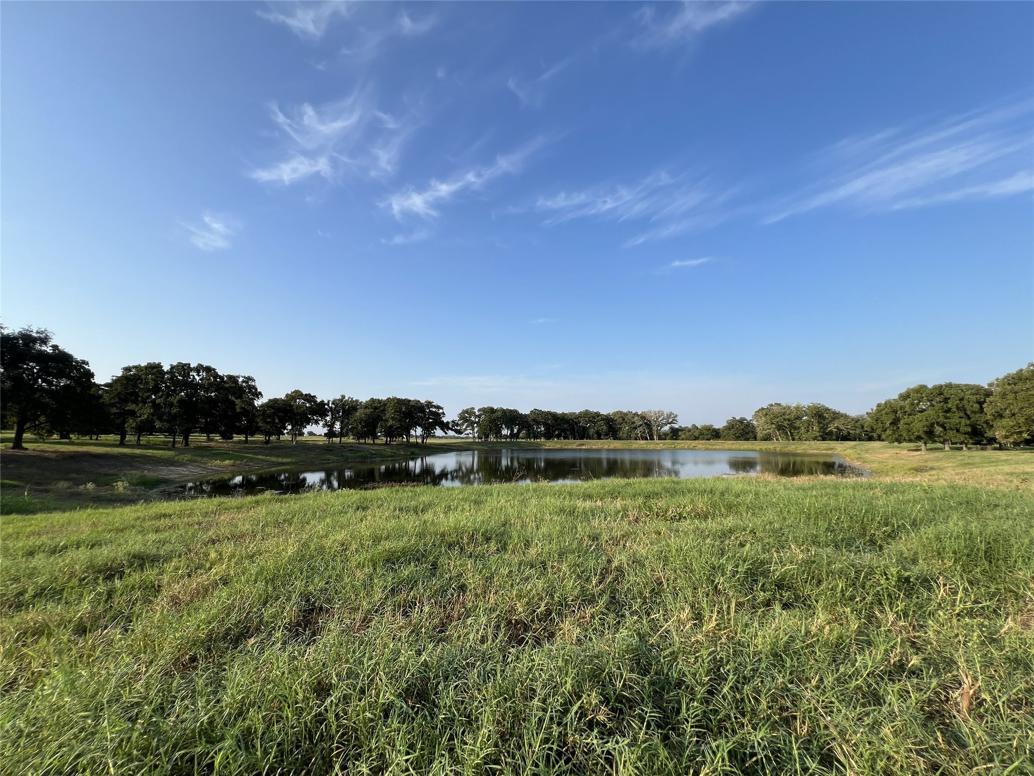 1440 Fm 2434 Property Photo 5