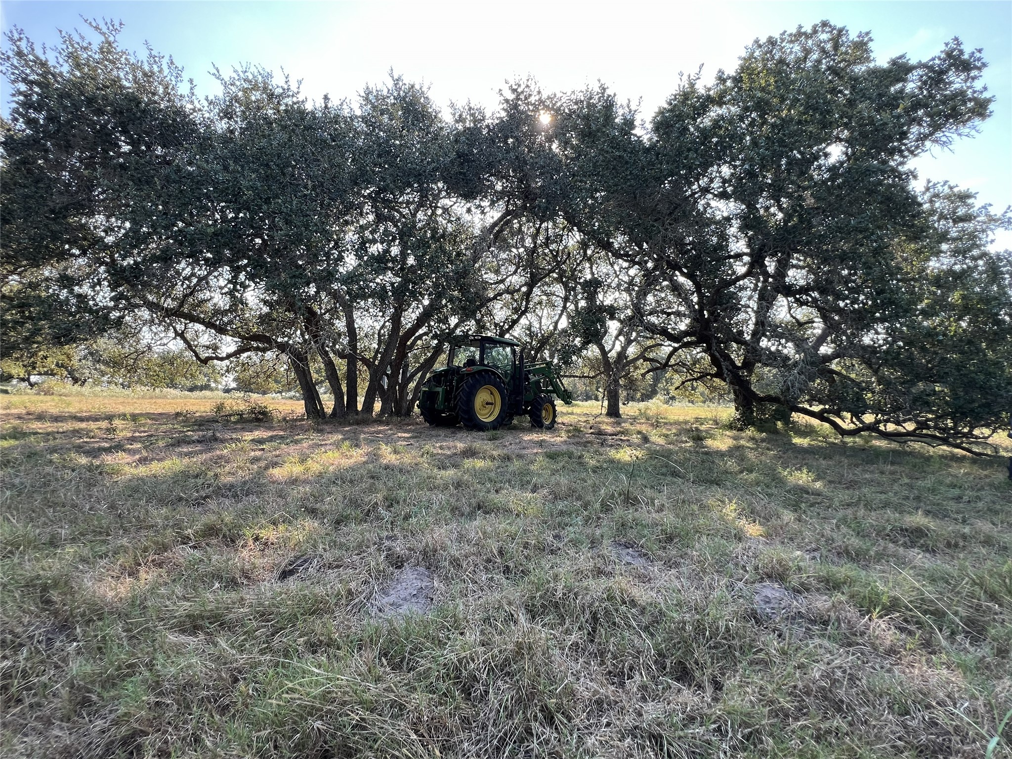 1440 Fm 2434 Property Photo 19
