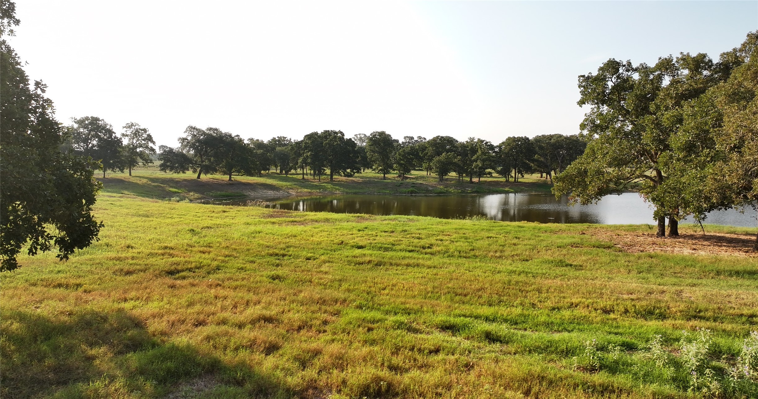 1440 Fm 2434 Property Photo 20