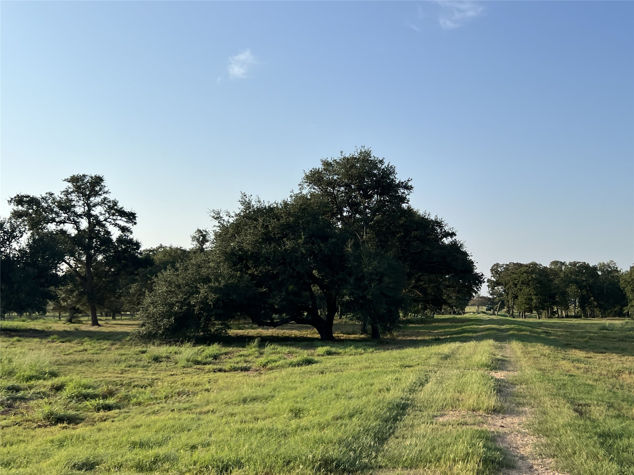 1440 Fm 2434 Property Photo 31