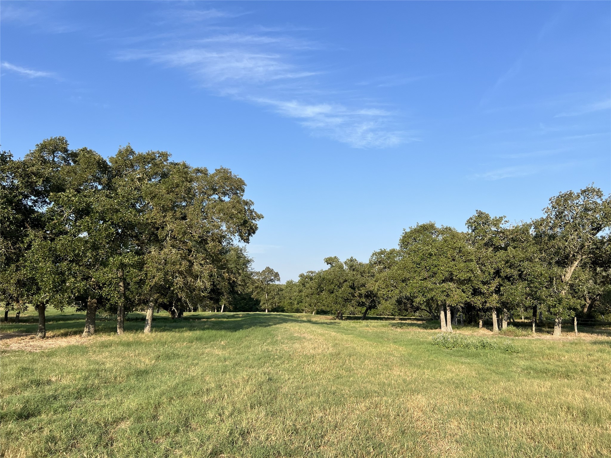 1440 Fm 2434 Property Photo 33