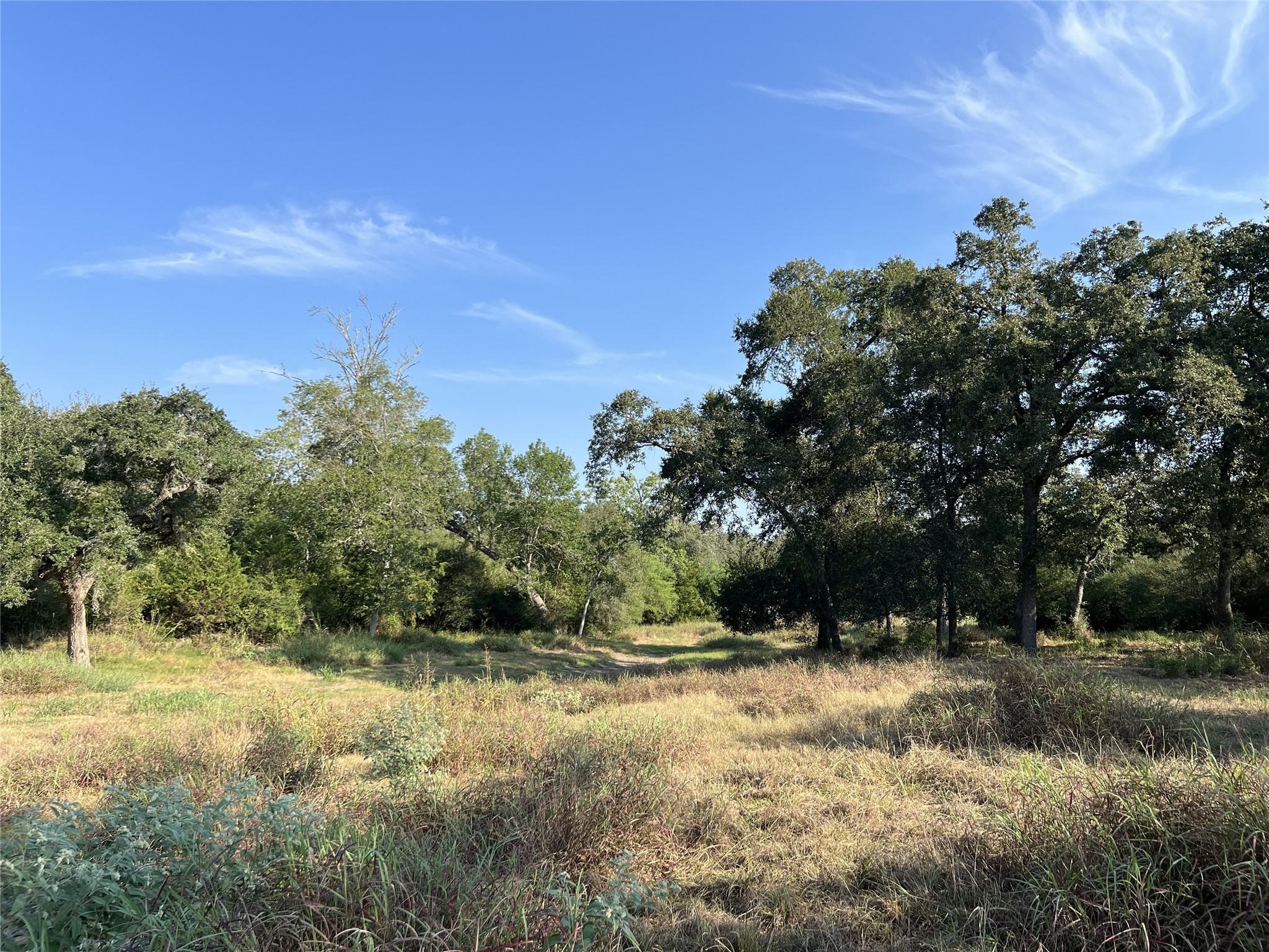 1440 Fm 2434 Property Photo 37