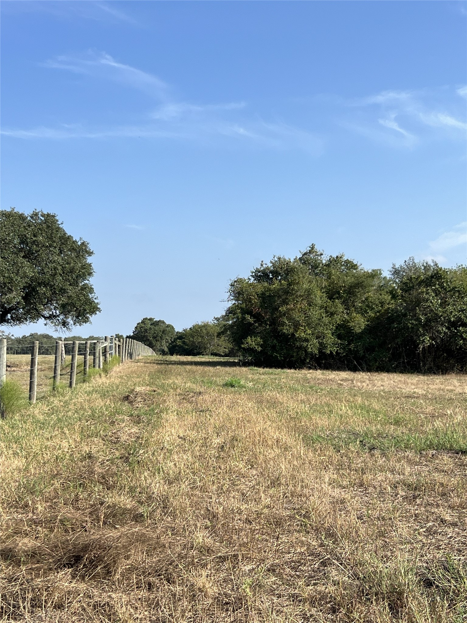 1440 Fm 2434 Property Photo 41