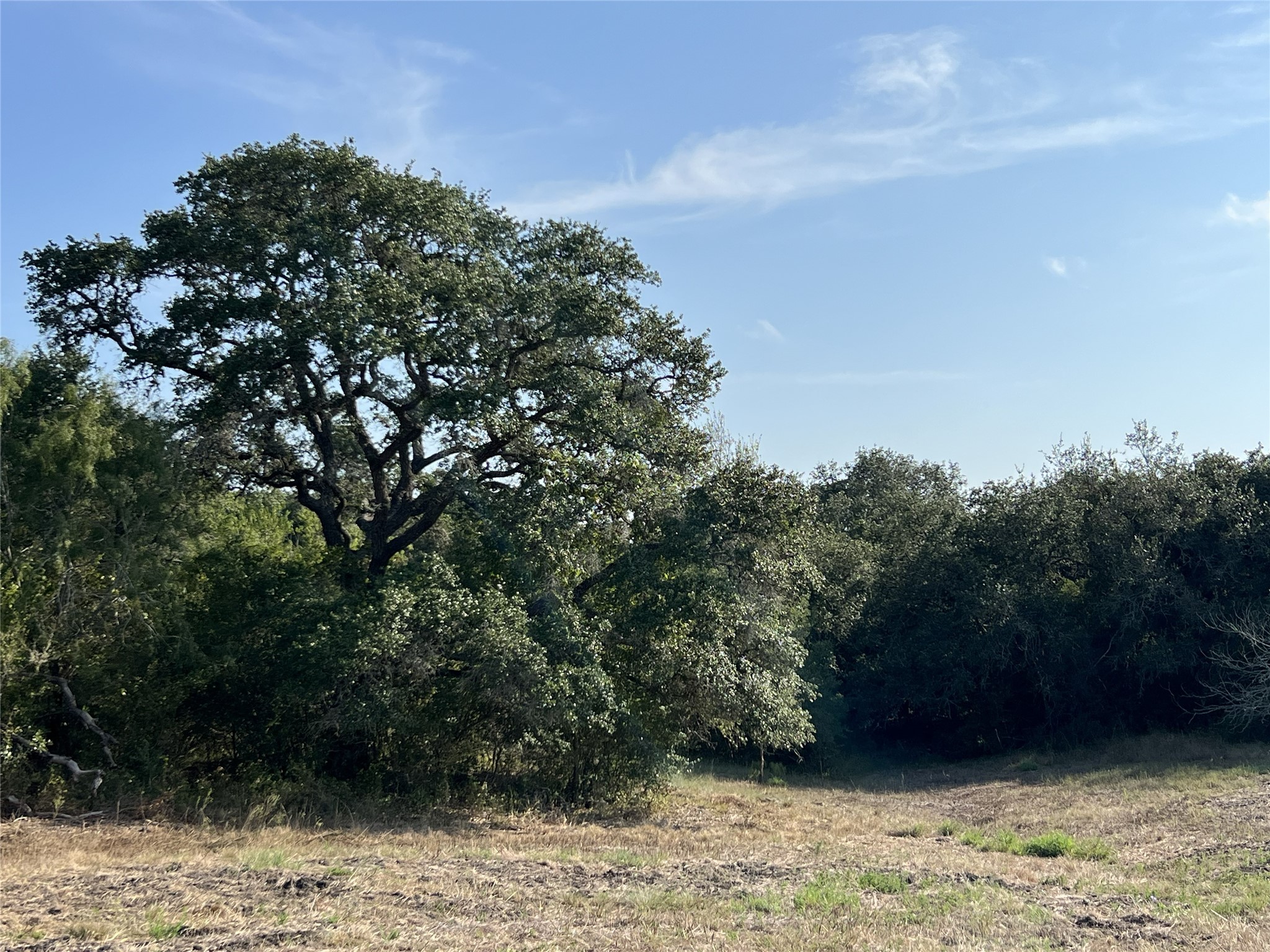 1440 Fm 2434 Property Photo 42