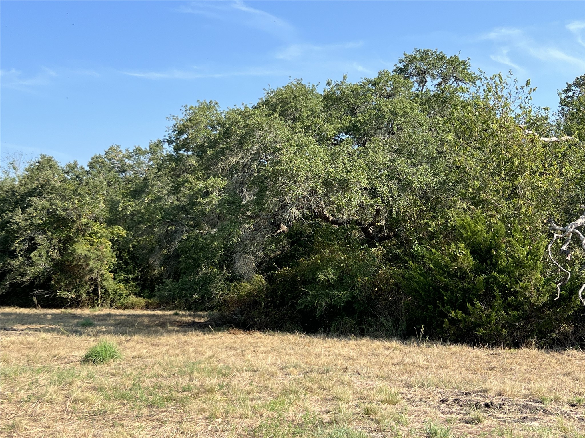 1440 Fm 2434 Property Photo 43