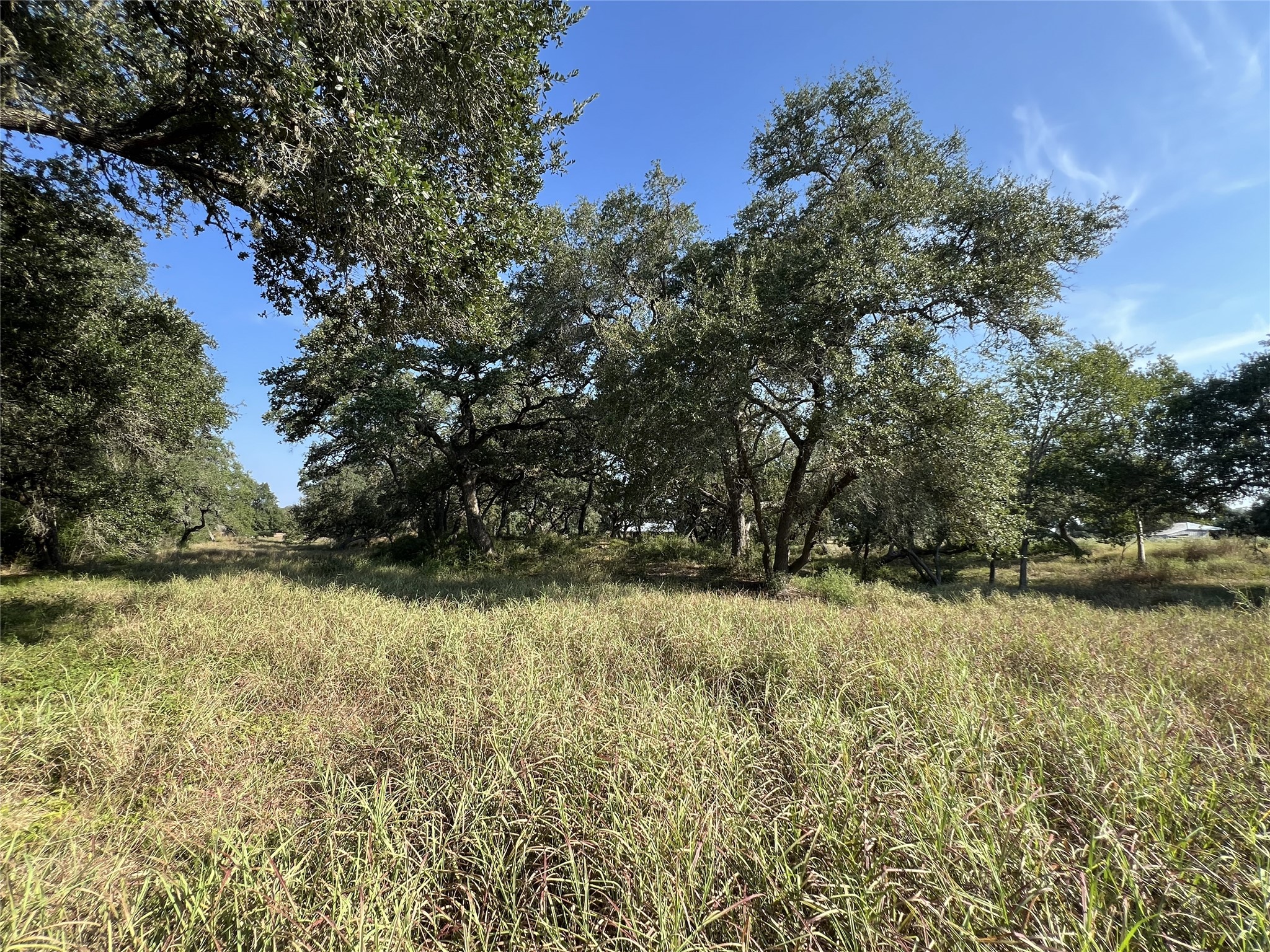 1440 Fm 2434 Property Photo 46
