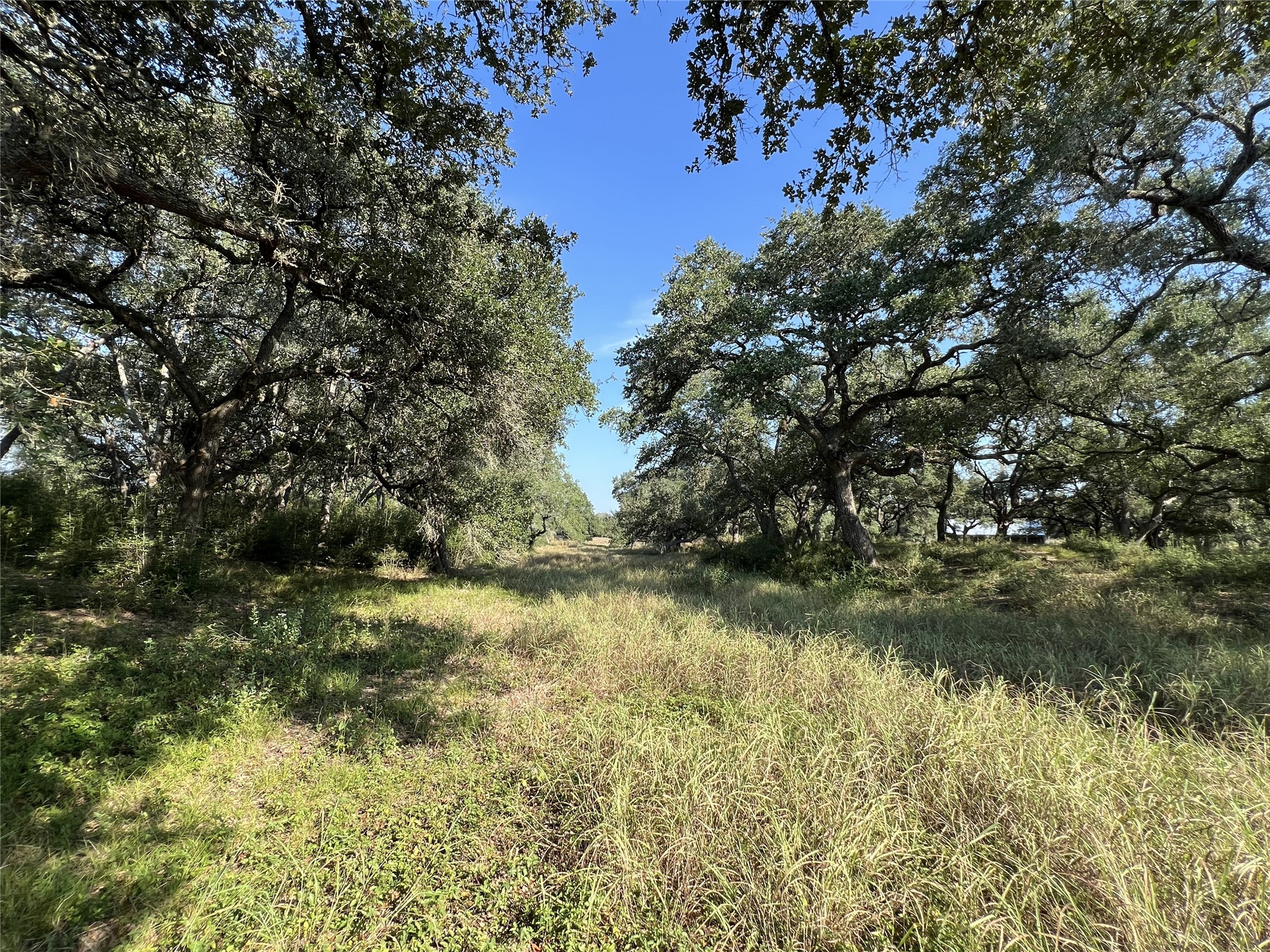 1440 Fm 2434 Property Photo 47