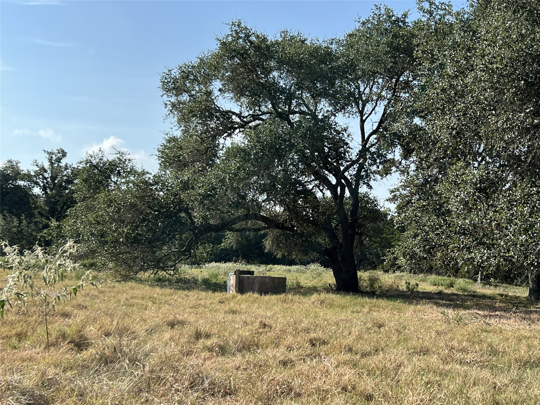 1440 Fm 2434 Property Photo 49
