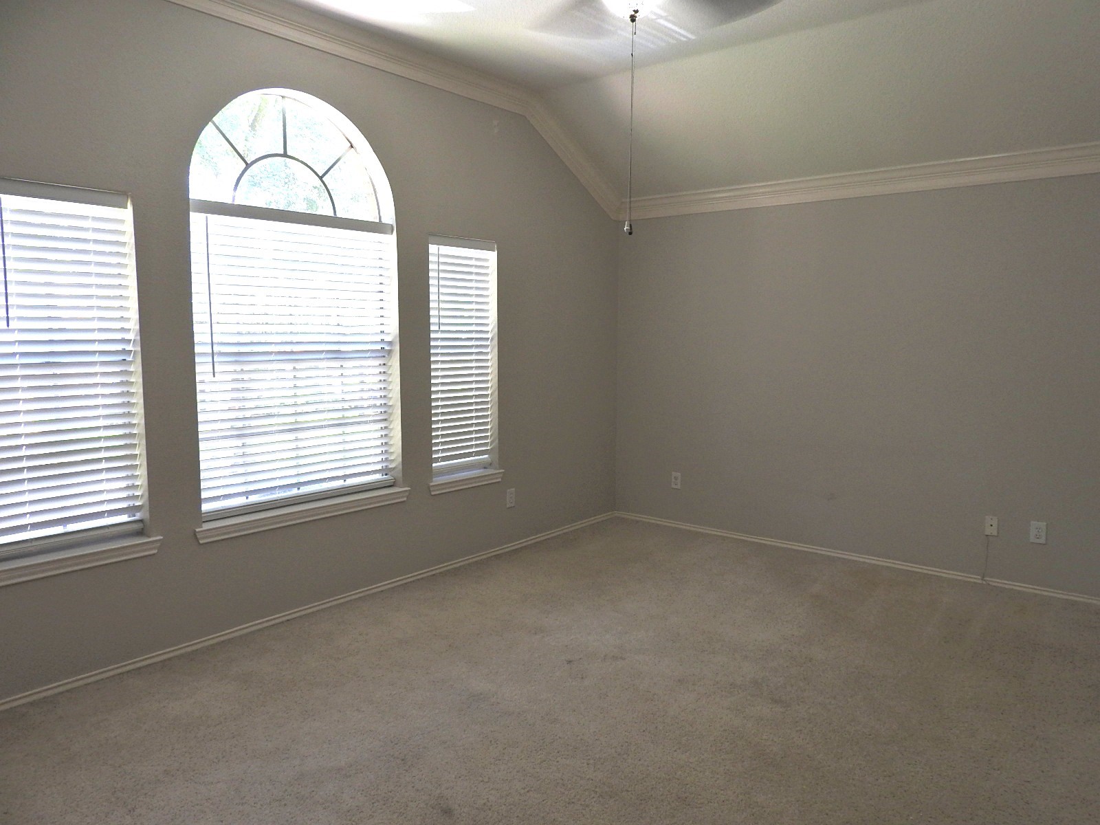 4427 Wavertree Drive Property Photo 23