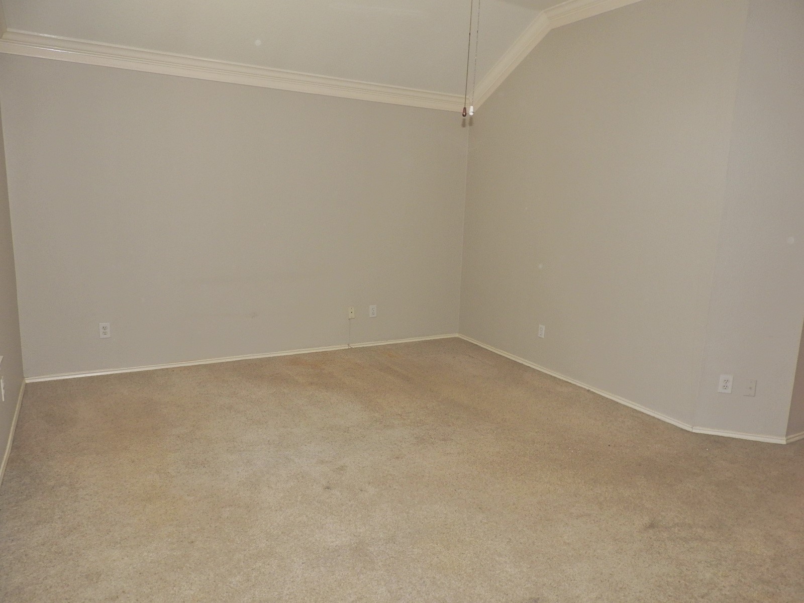 4427 Wavertree Drive Property Photo 24