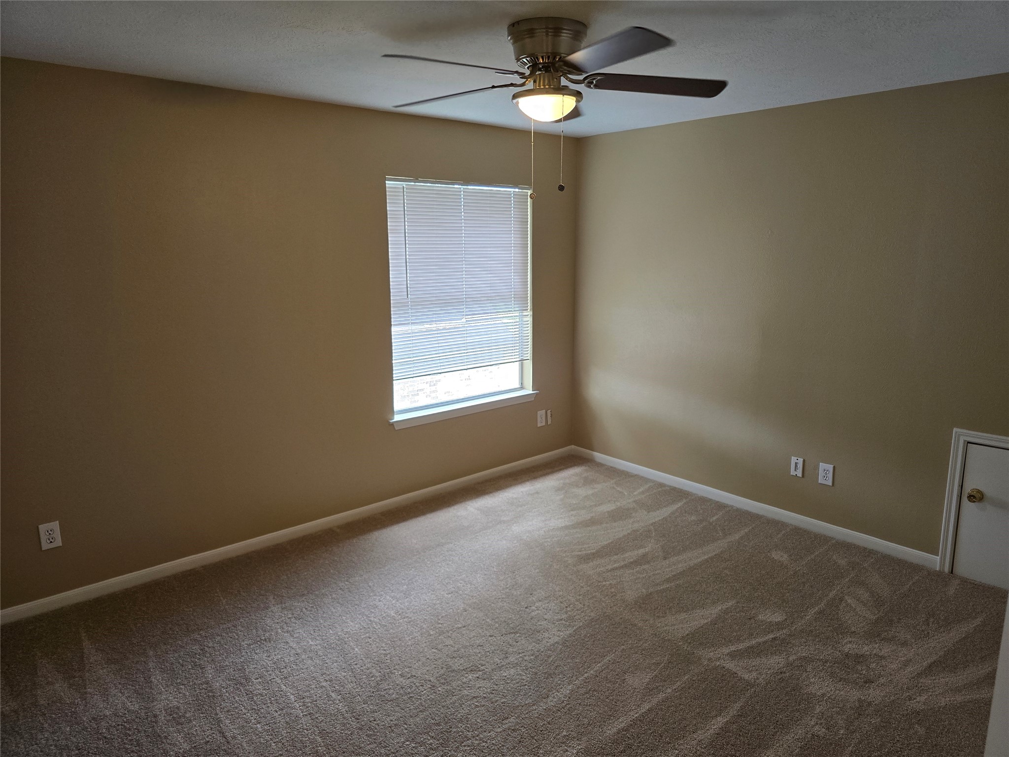 1820 Branch Hill Drive Property Photo 28