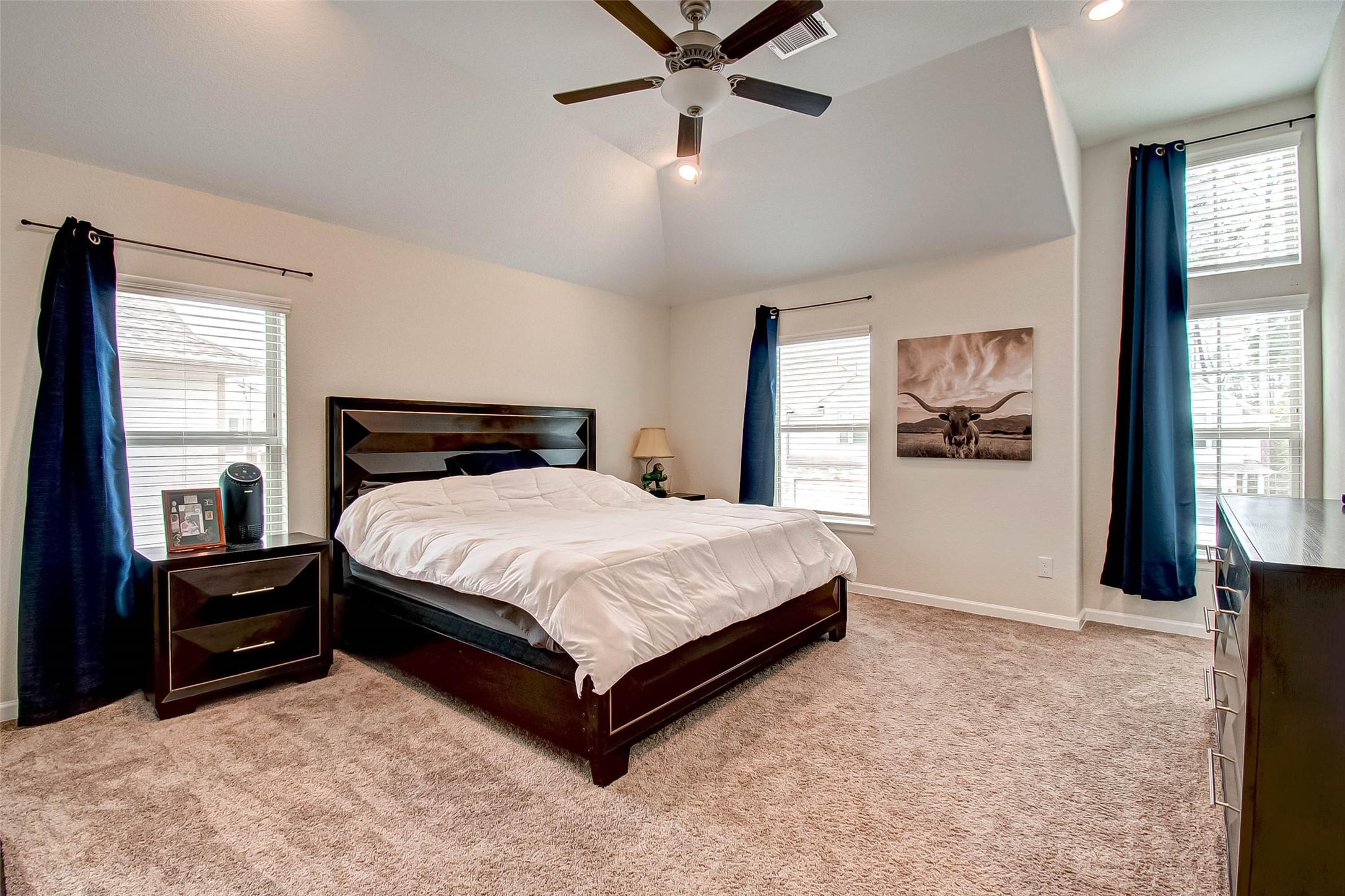 617 Aspen Falls Court Property Photo 60