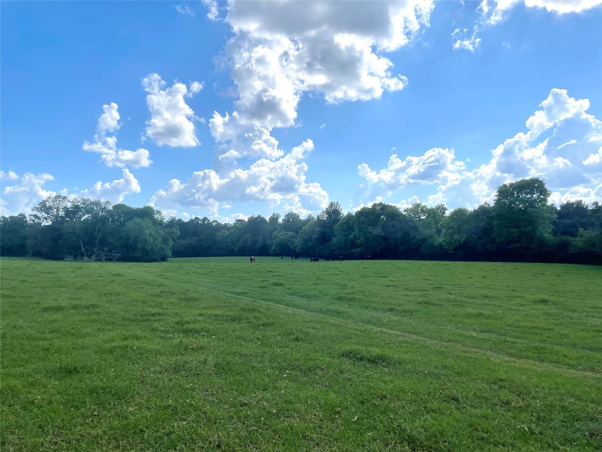 1135 Cr 419, Nacogdoches TX 75961 Property Photo 1