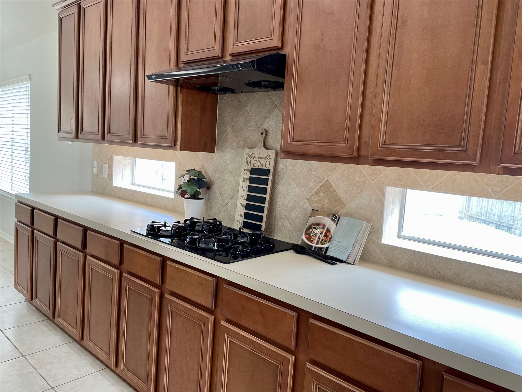 17606 Mossy Brook Court Property Photo 12