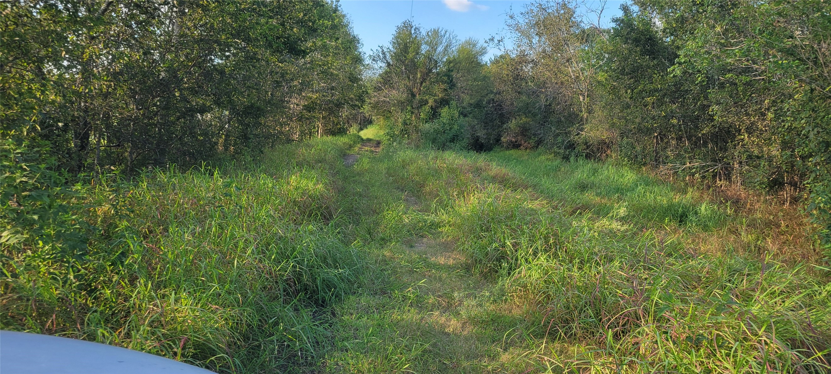 0 Whitetail Xing Crossing Property Photo 9