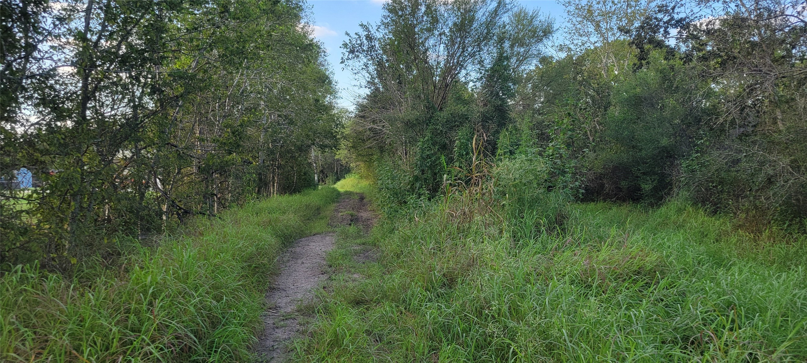 0 Whitetail Xing Crossing Property Photo 10