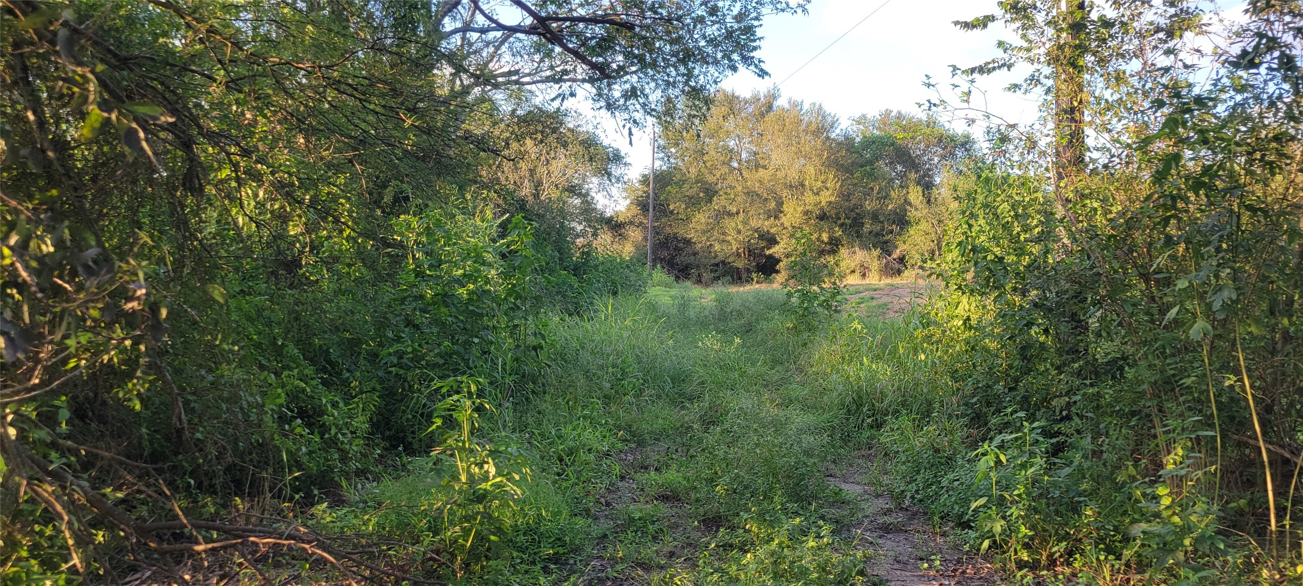 0 Whitetail Xing Crossing Property Photo 12