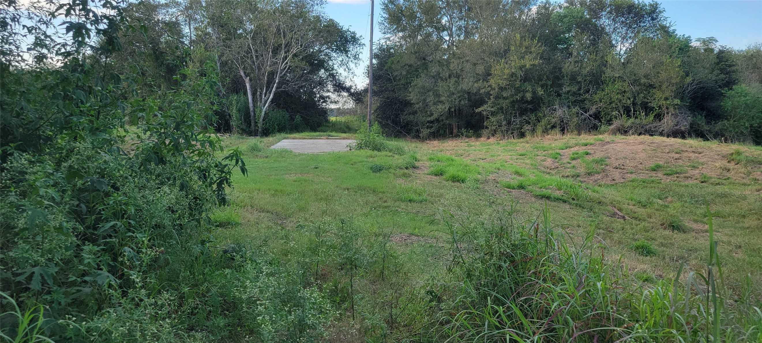 0 Whitetail Xing Crossing Property Photo 13
