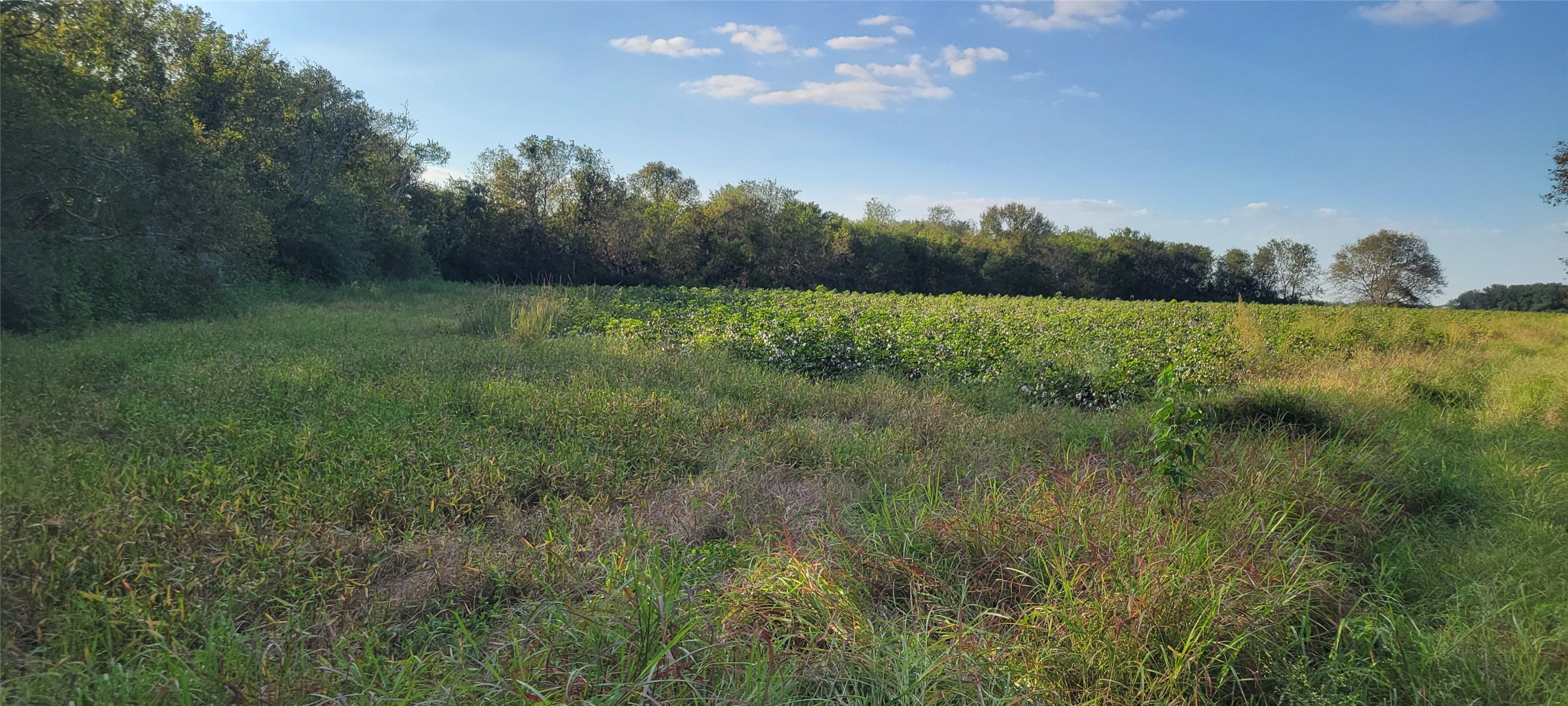 0 Whitetail Xing Crossing Property Photo 18