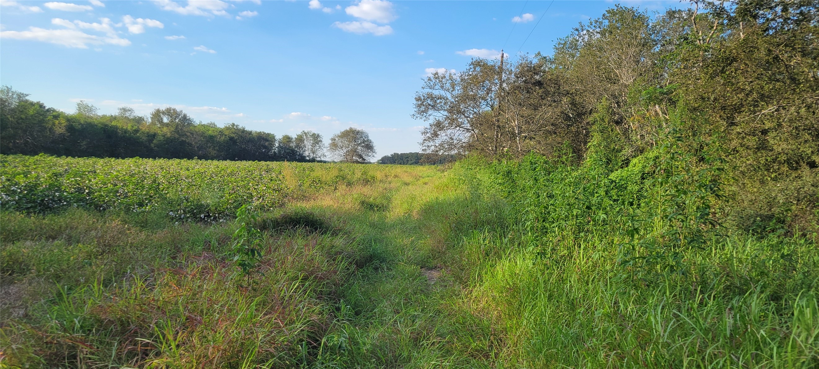 0 Whitetail Xing Crossing Property Photo 19