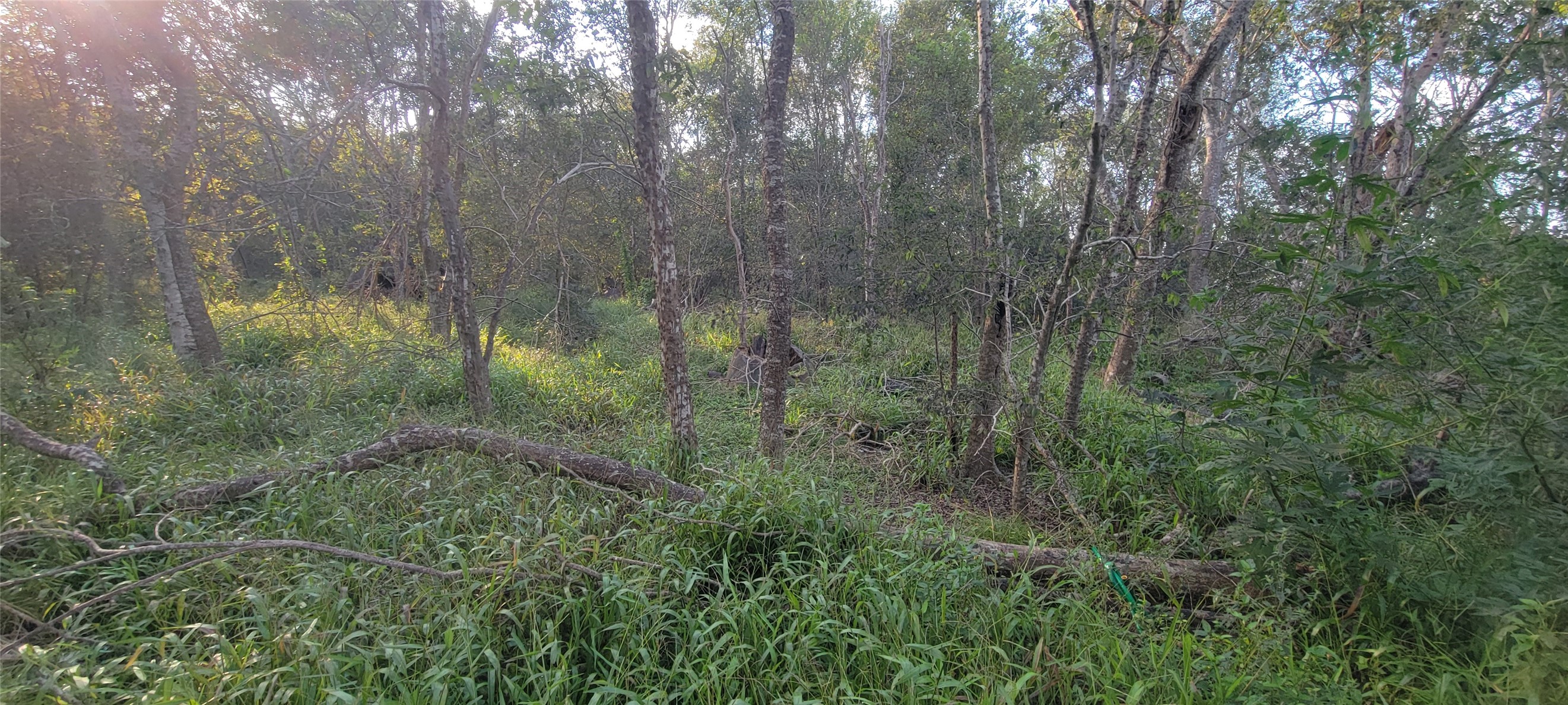0 Whitetail Xing Crossing Property Photo 27