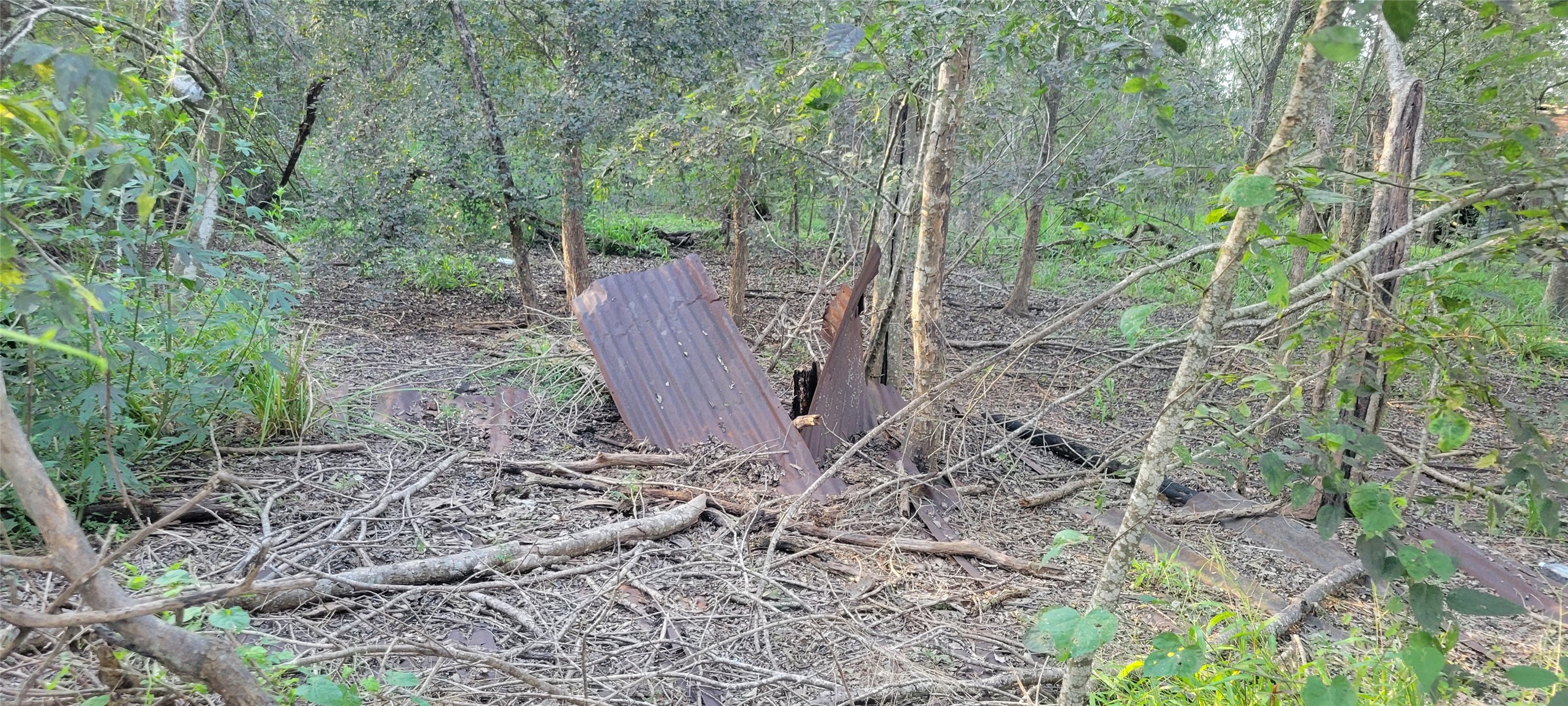 0 Whitetail Xing Crossing Property Photo 29