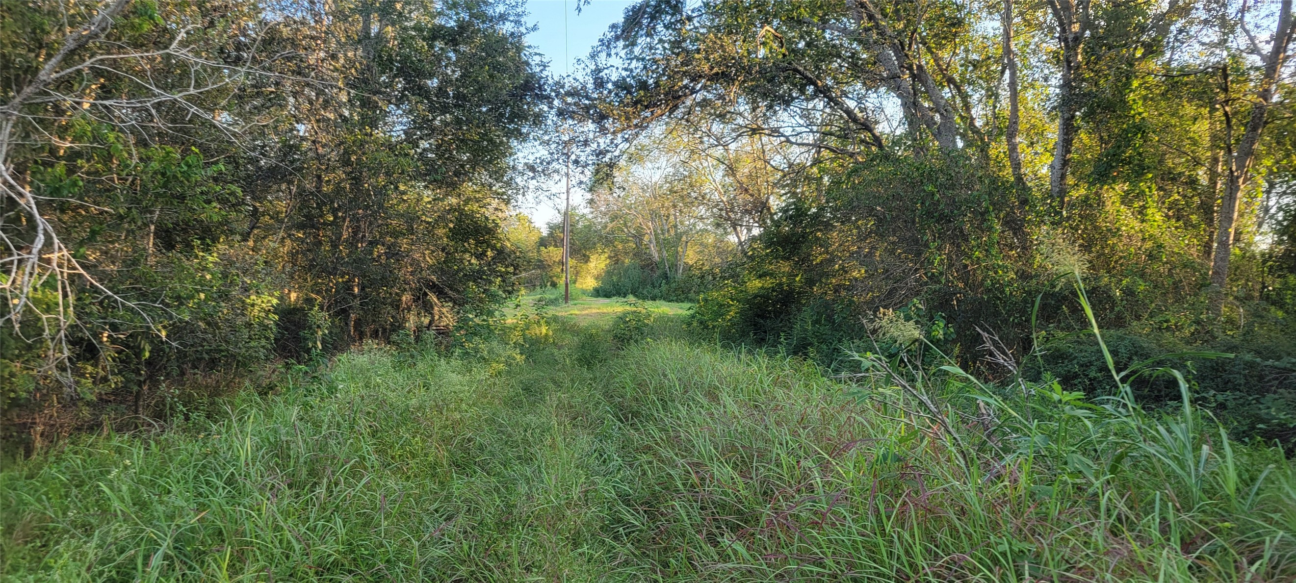 0 Whitetail Xing Crossing Property Photo 33