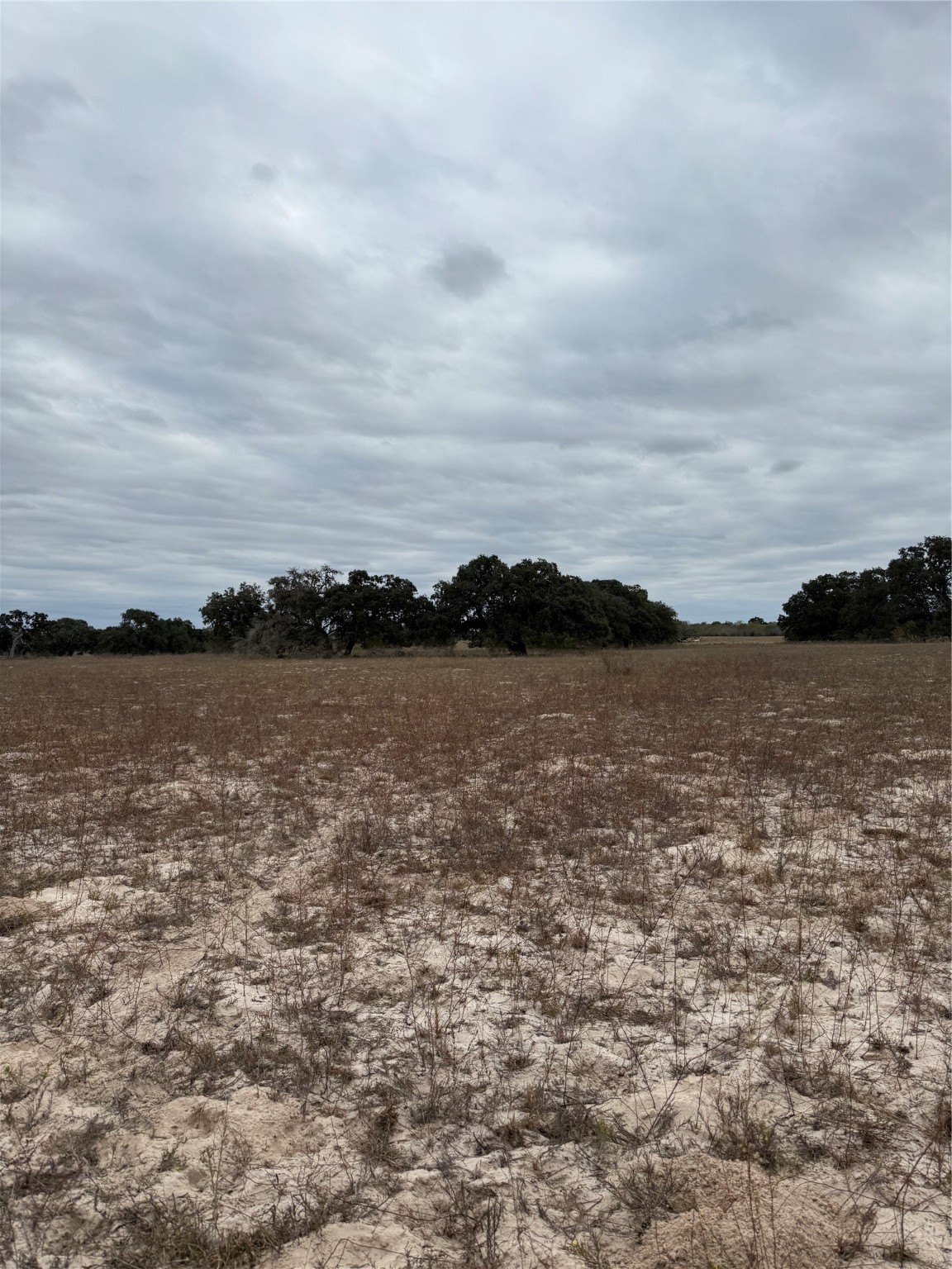3737 Bruce Lot 4 Road Property Photo 1