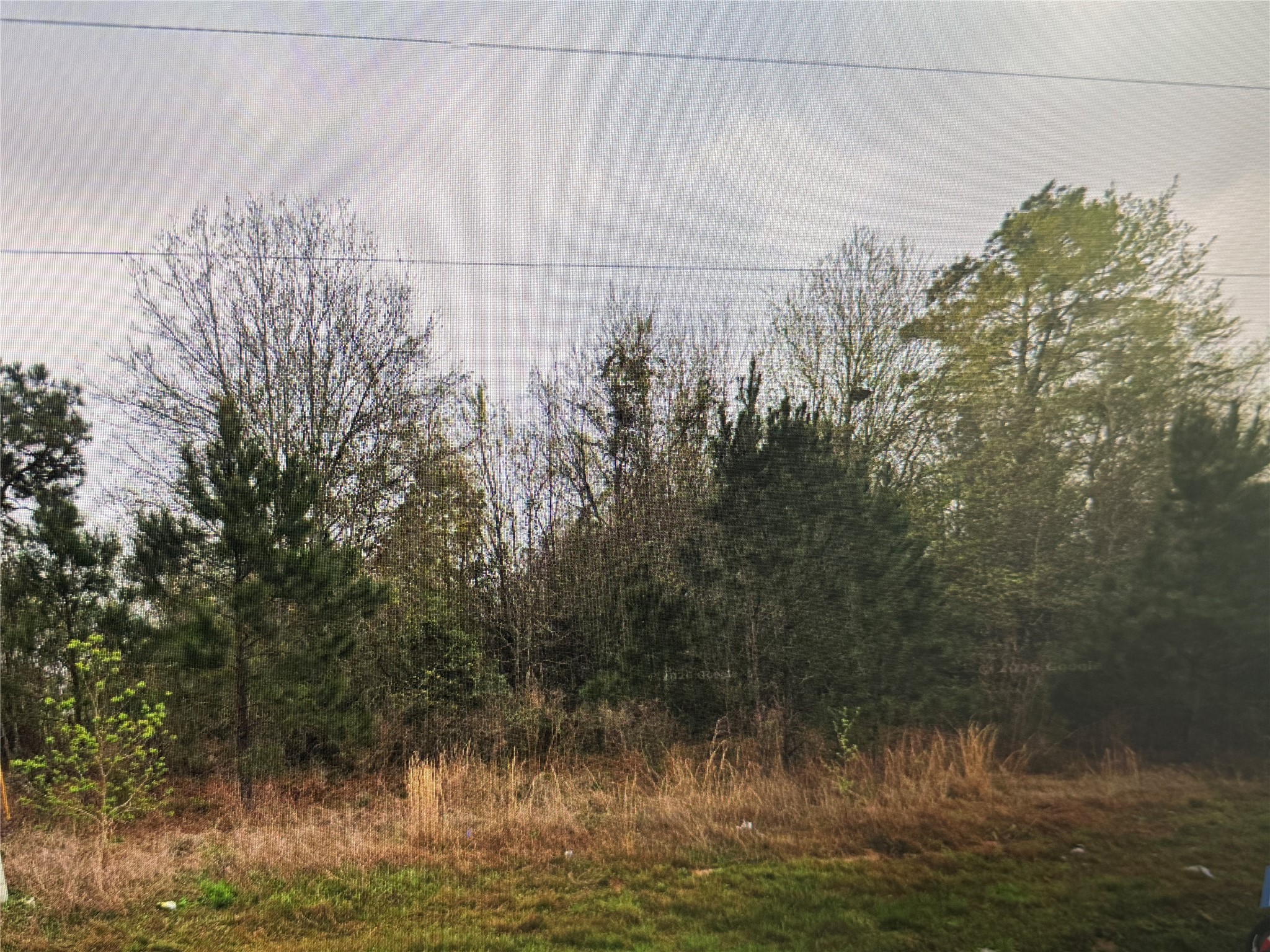 3157 County Road 3550 Property Photo 1